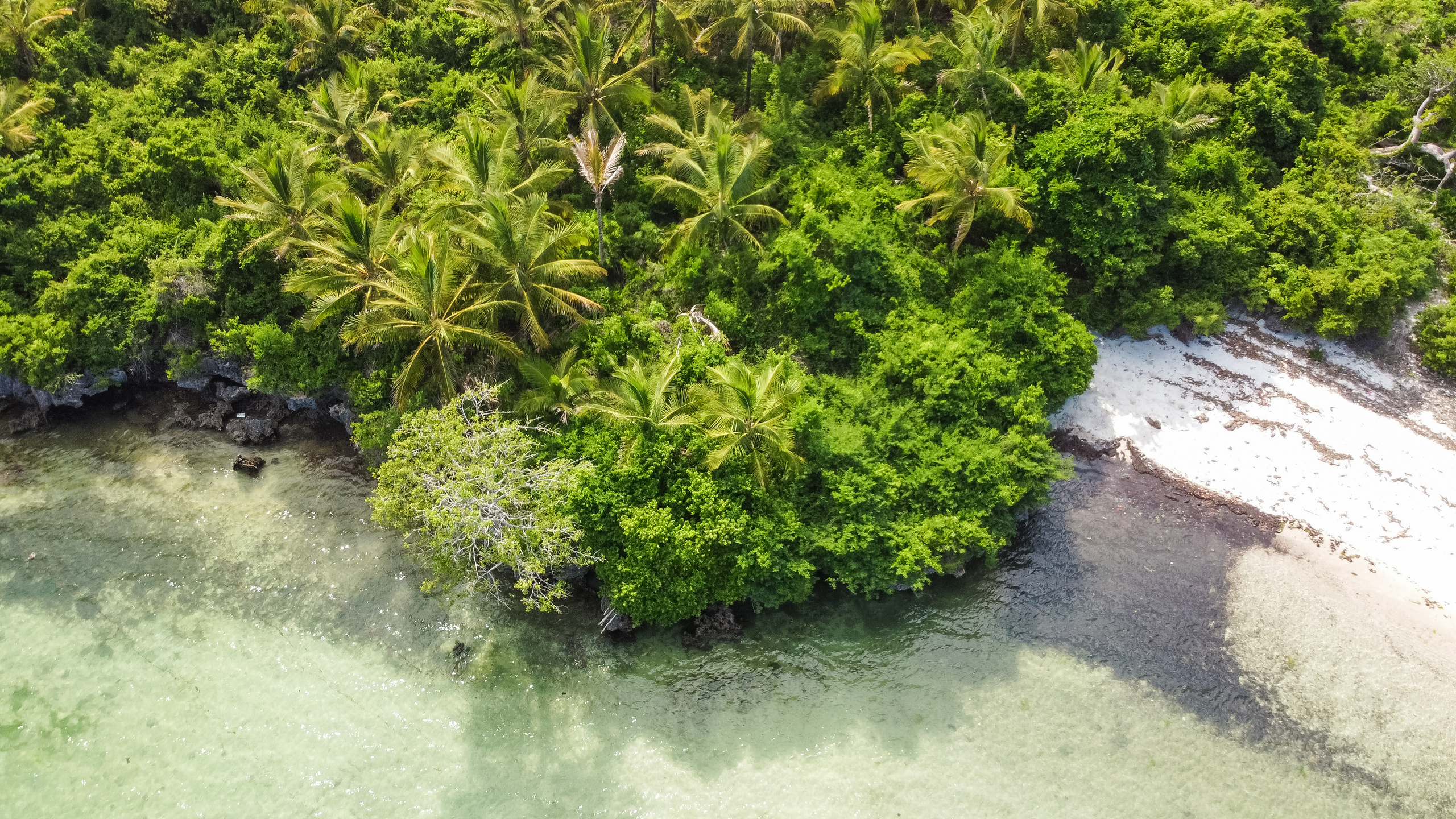 Остров Занзибар, Танзания. Фотограф Сергей Кишкель Дананг Нячанг Фукуок