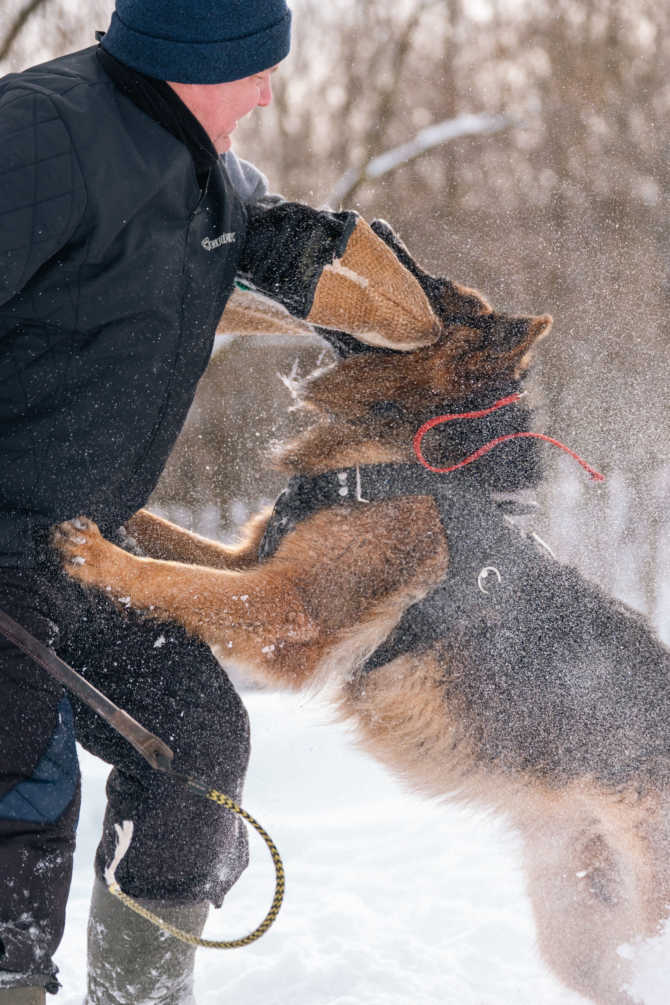 Репортажная съемка. Фотограф-анималист Нижний Новгород
