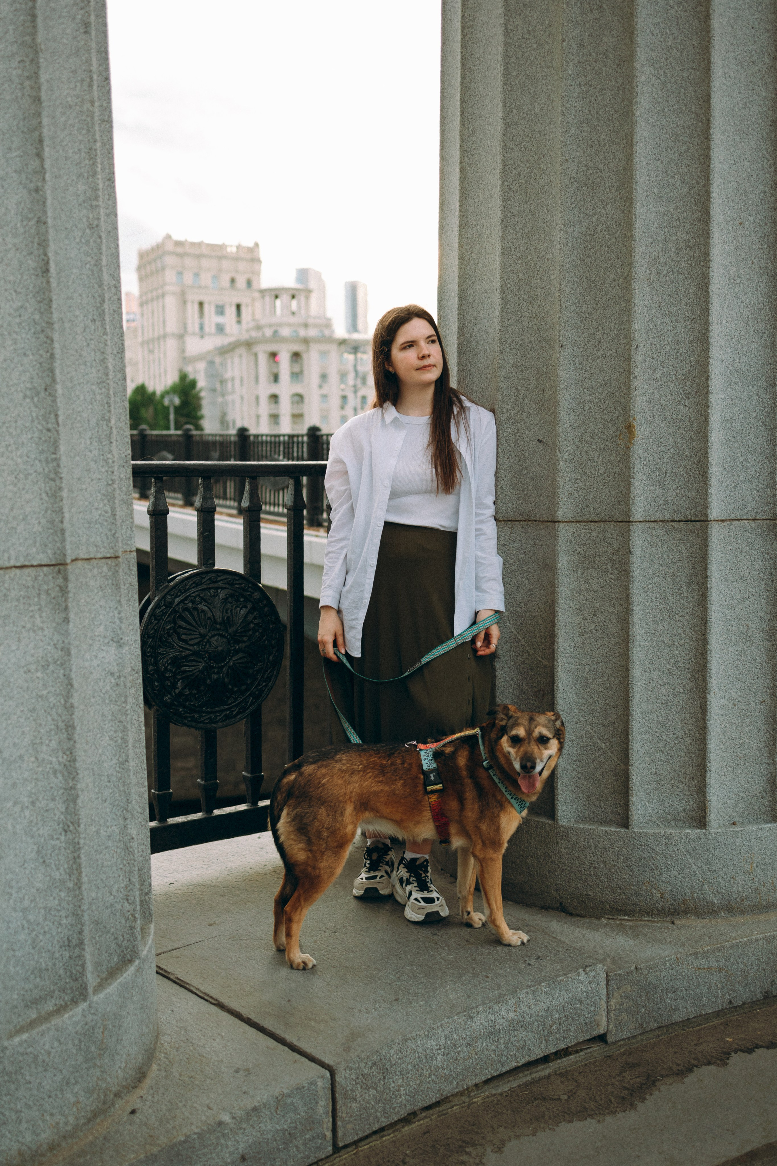 Глаша, Айрон, Ксюша и Оля. Фотограф анималист Анастасия Пикей