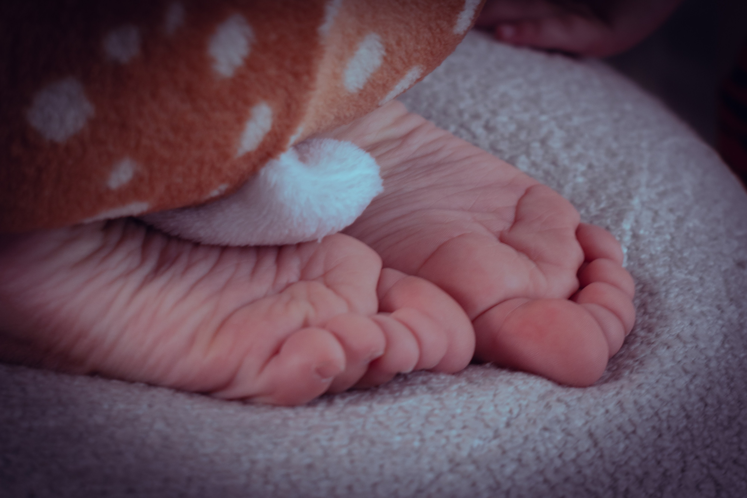 Новый год в кигуруми. Фотограф Зеленоград Москва