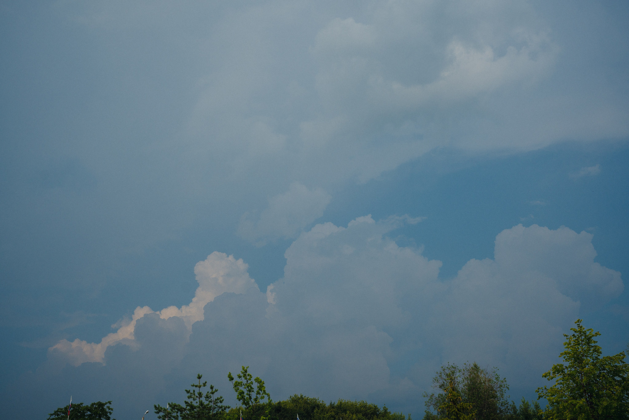 Егор+Вика. Свадебный и репортажный фотограф Александр Родин