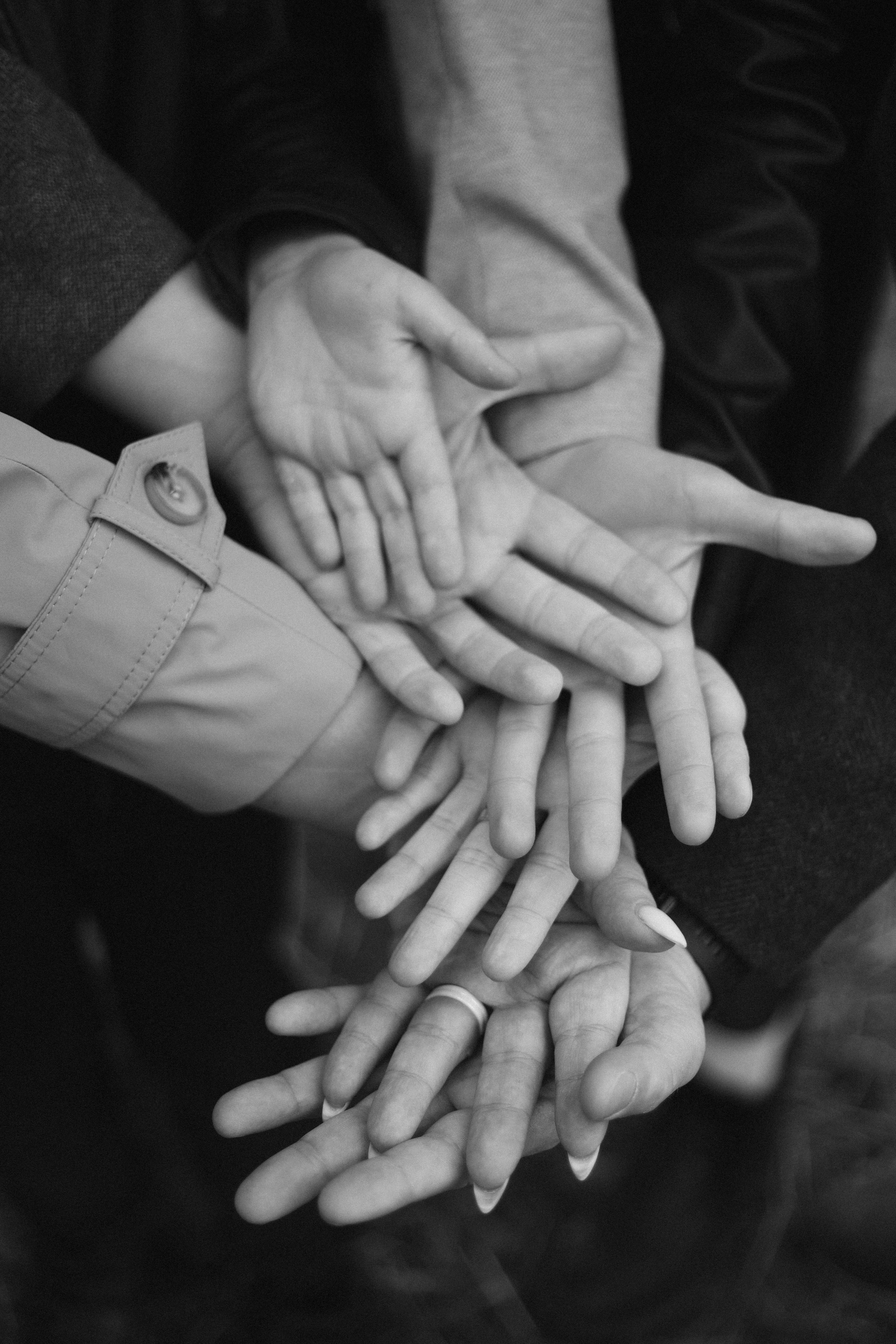 Осень осень. Фотограф НатаФото (Наталья Яковенко) Дмитров Москва Питер