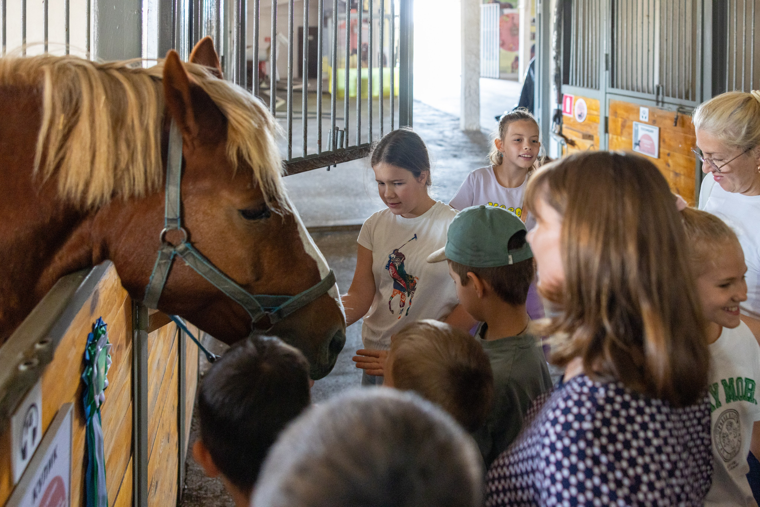 Поездка на поле Кулеково. Фотограф в Туле Крупский АнДРей. Фотостудия «КАДР71» в Туле