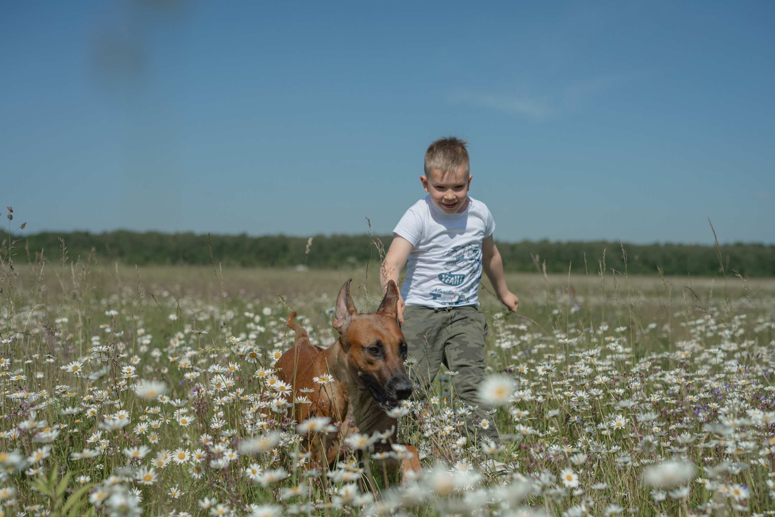 Белла ❤️. Семейный фотограф и анималист в Москве и Московской области
