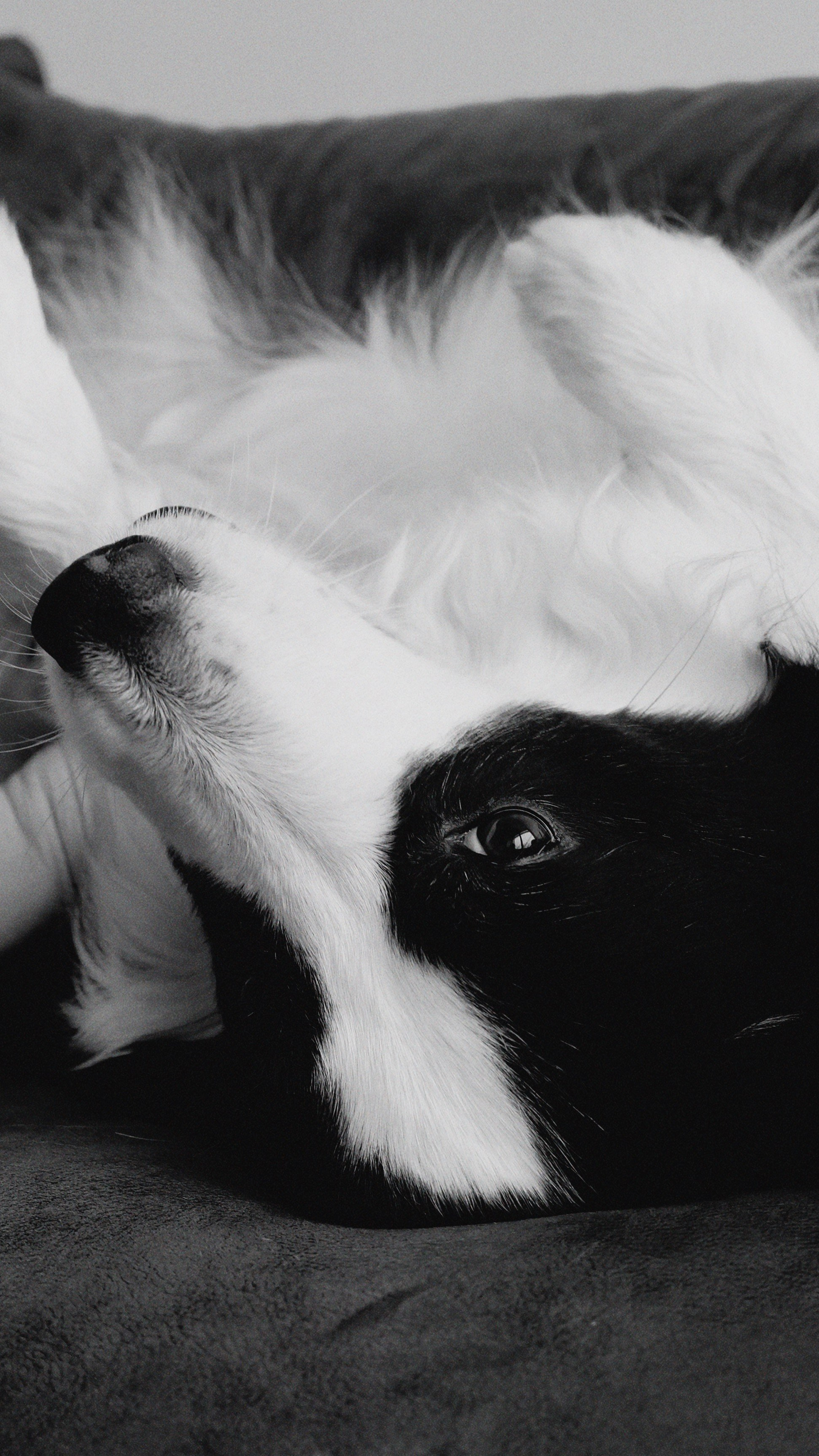 Коммерческие съемки. Фотограф контент-мейкер в Москве