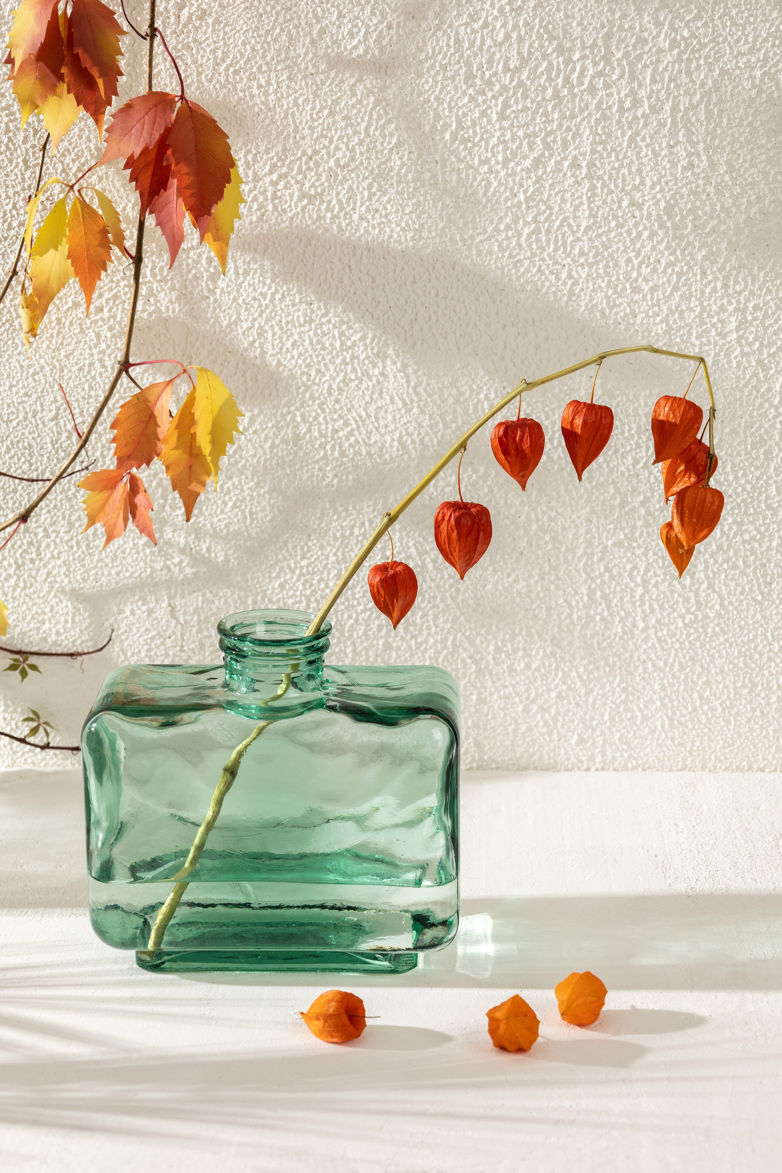 Стеклянная ваза с тенями от солнца на стене | Съемка для Wildberries