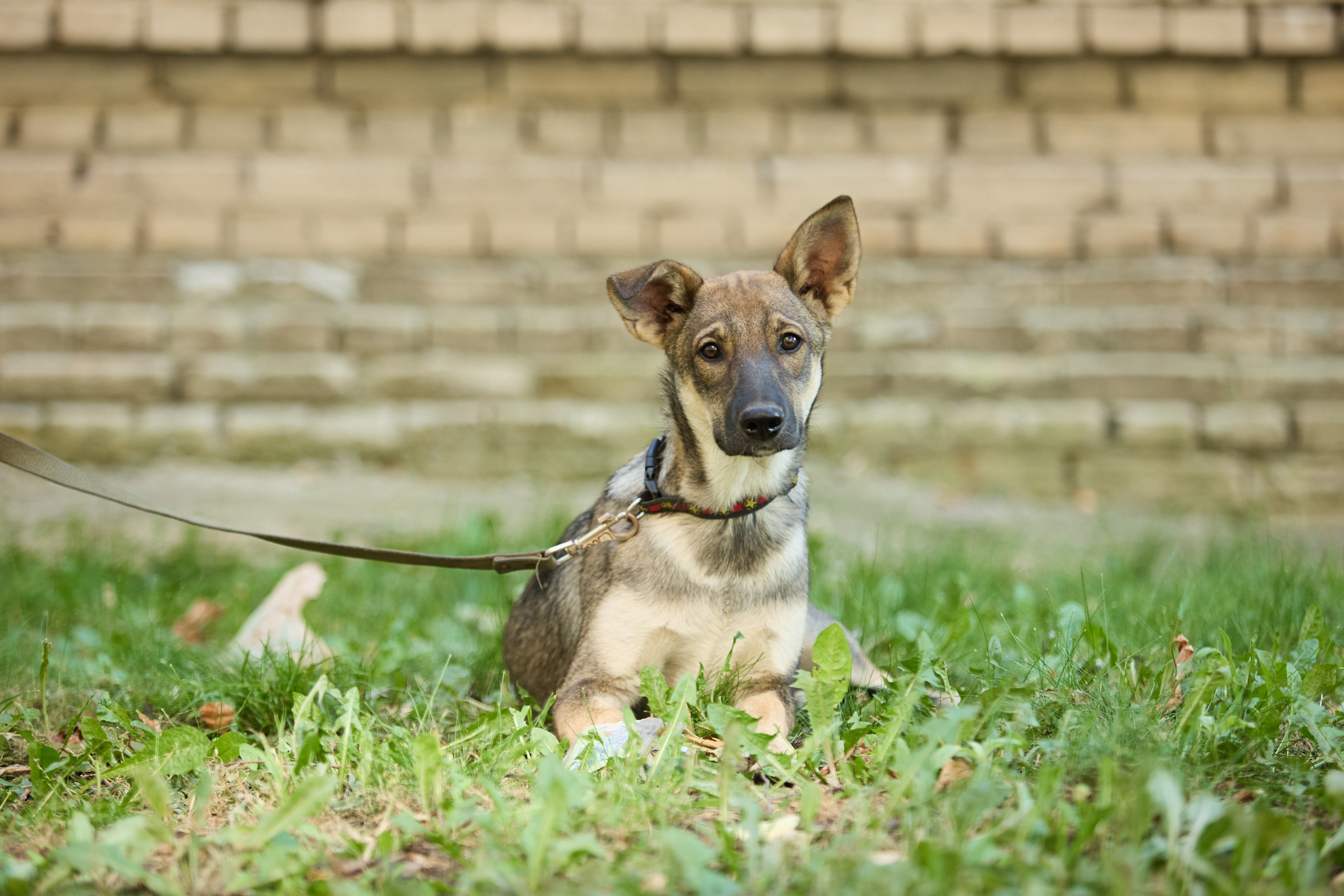 Пиар. Фотограф Ирина Астор