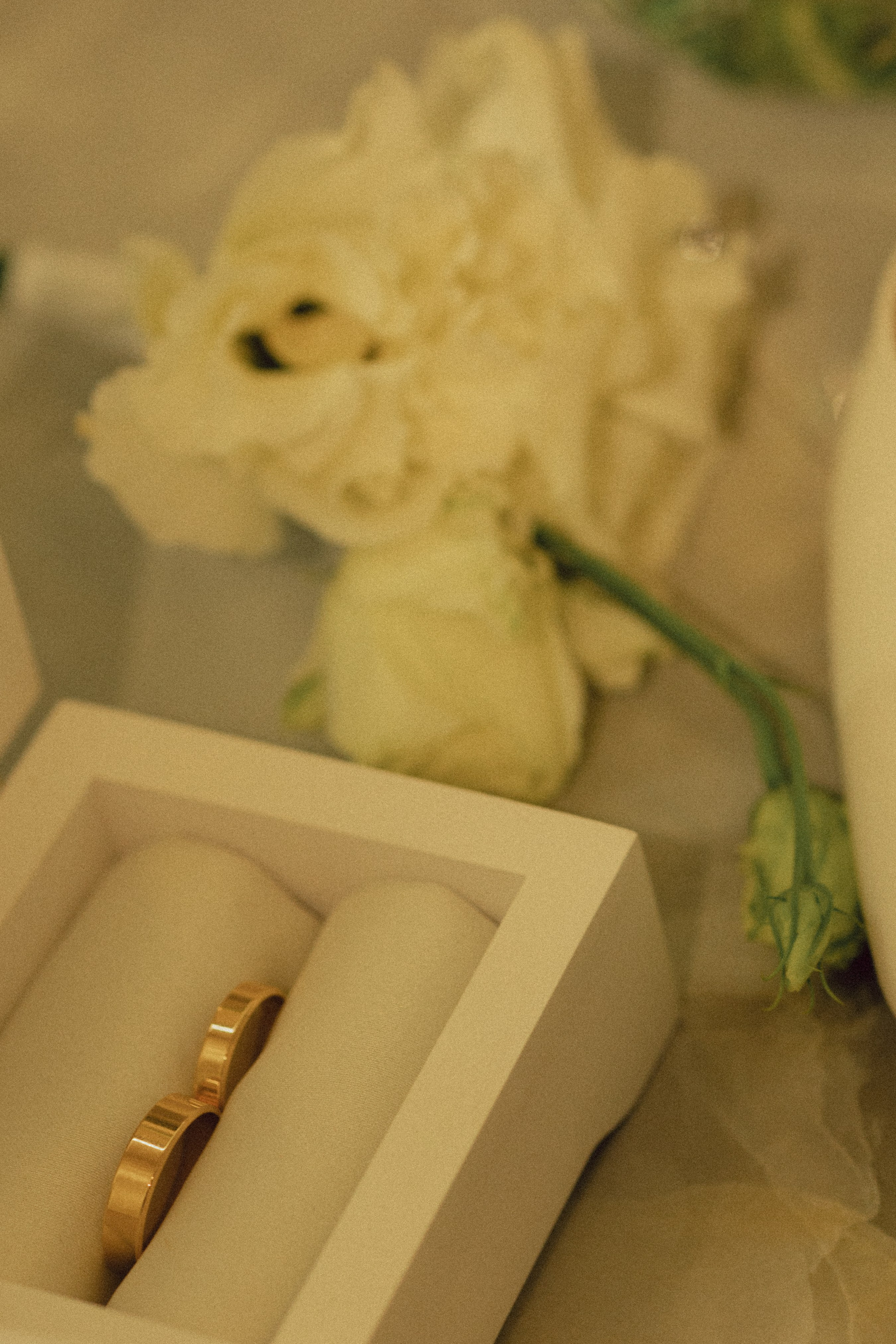 I & V. Свадебный и портретный фотограф | Ростов-на-Дону | Краснодар