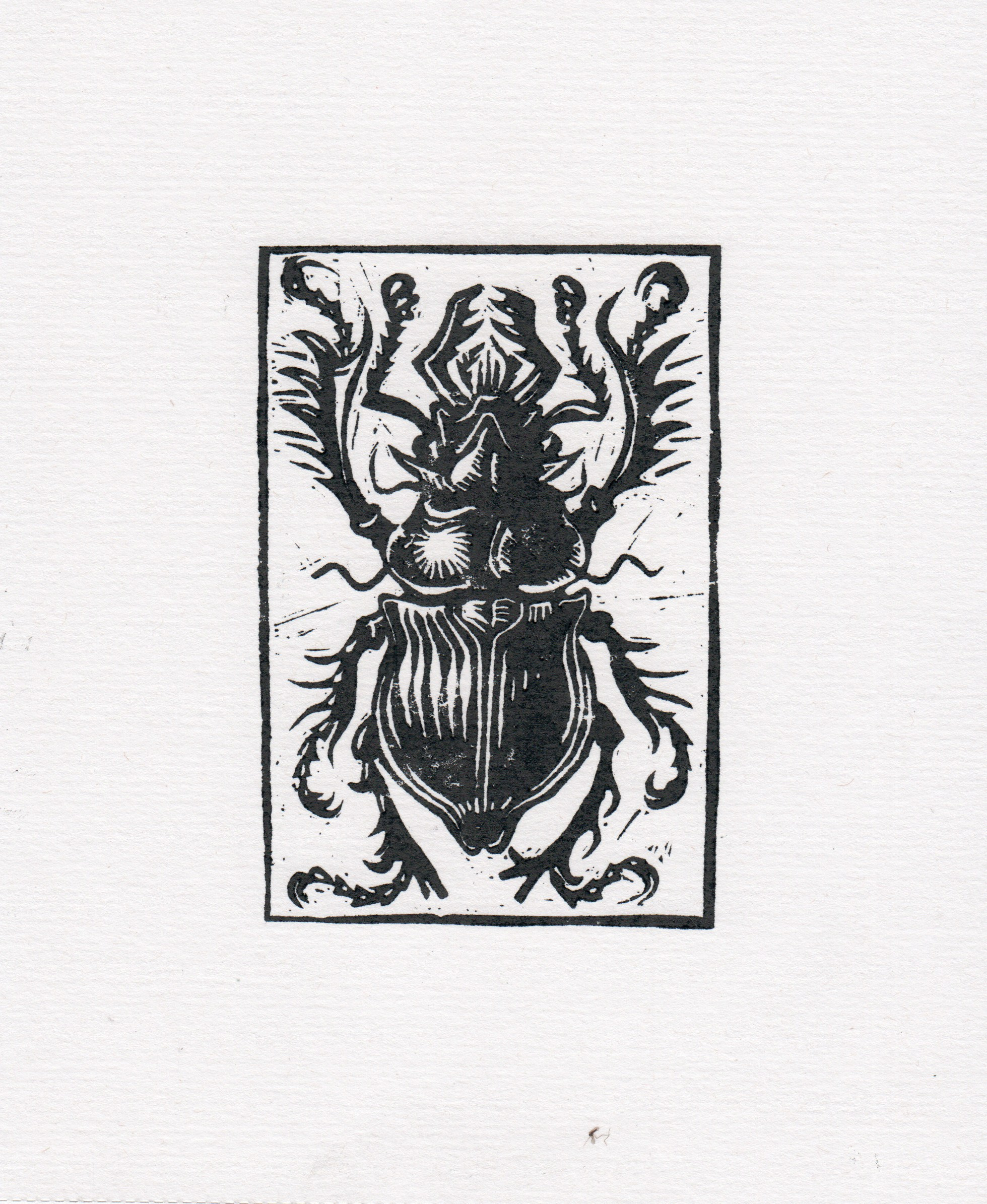 Гравюры. Фотография Стремского