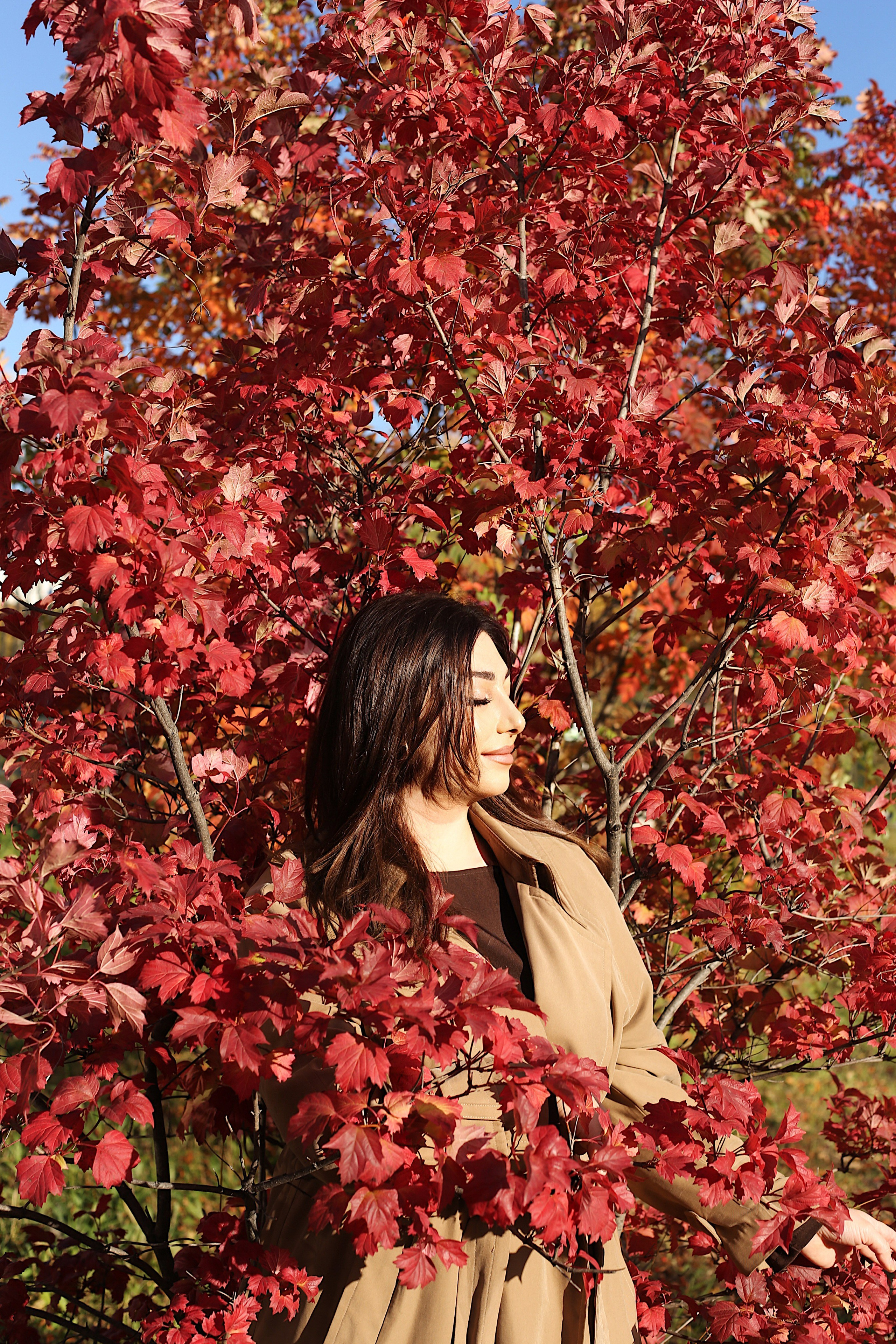 Гаяна. Осенняя прогулка. Фотограф Пирумян Анна. г. Сургут, г. Воронеж