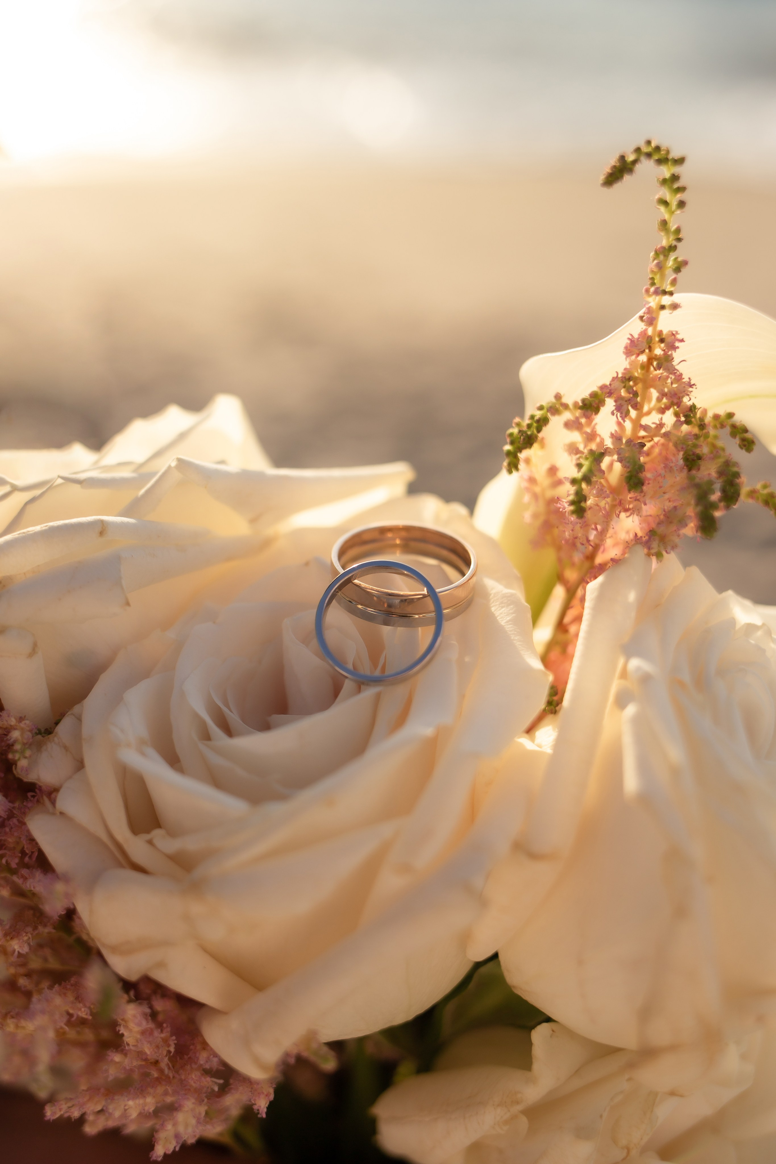 Александра и Влад. На закате. Фотограф в Калининграде Решетникова Алина