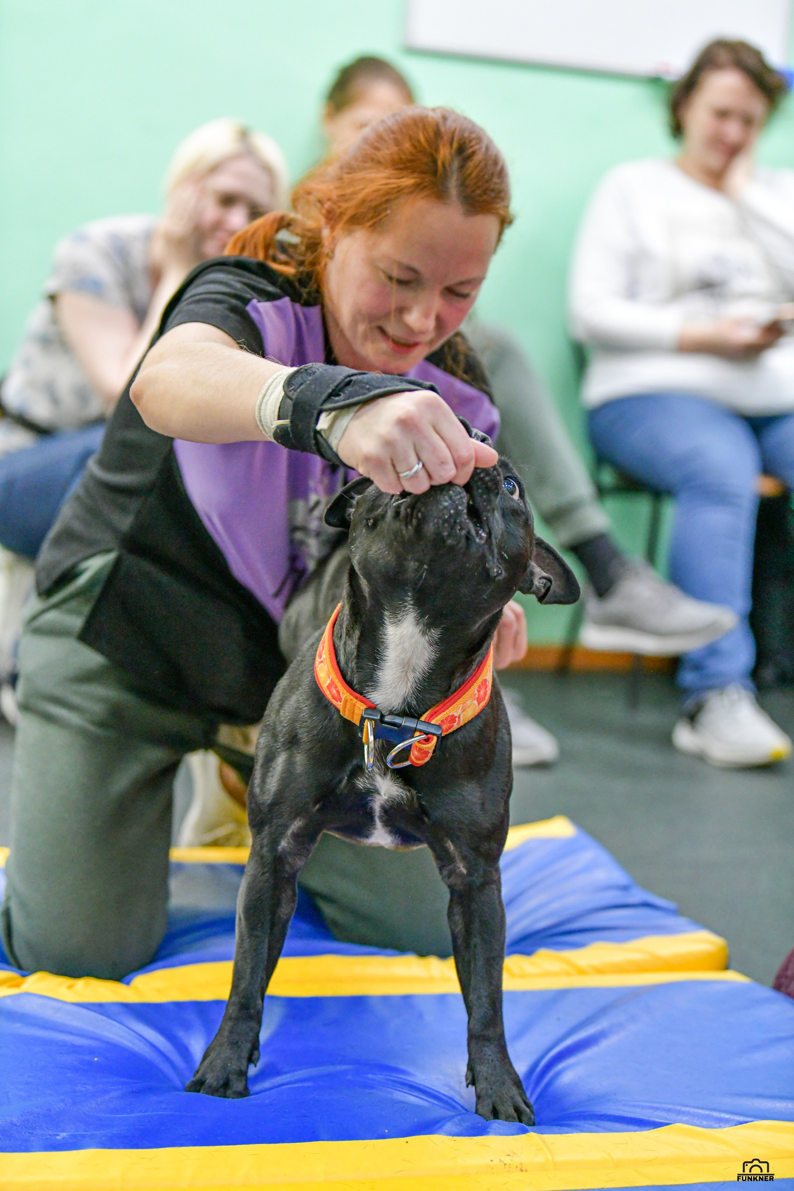 Кинологический клуб «Бодрый хвост». Свой взгляд через объектив