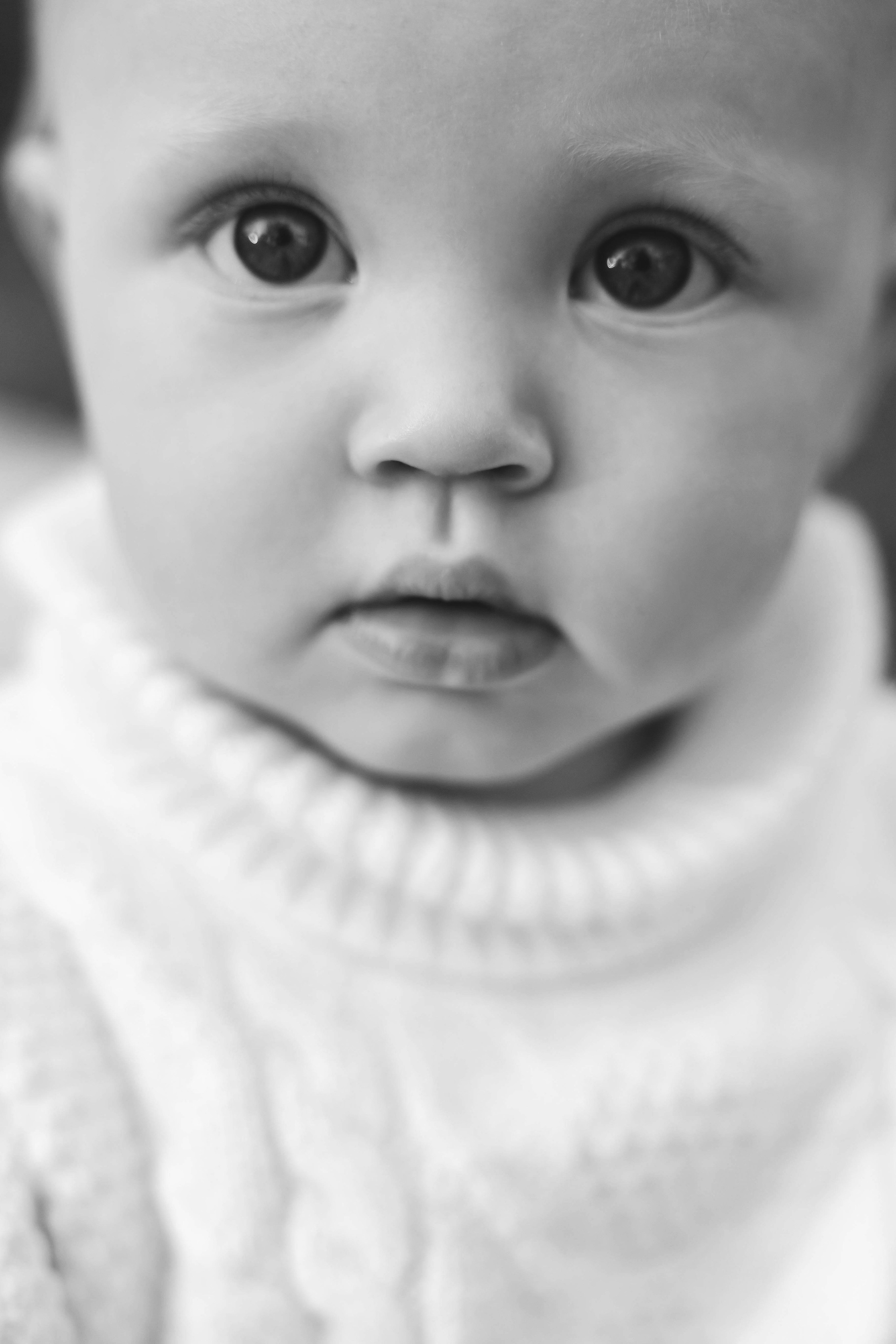 Богдан. Главная