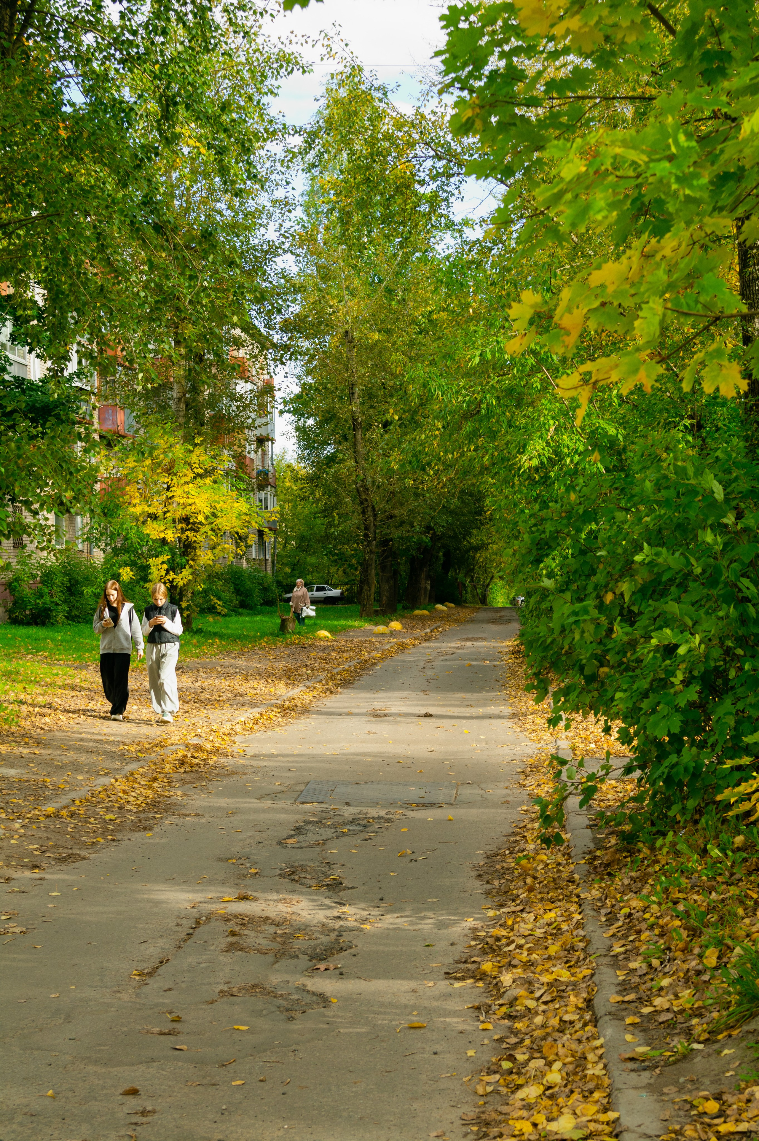 Сентябрь 2025. Den Mirov — Фотограф, Музыкант