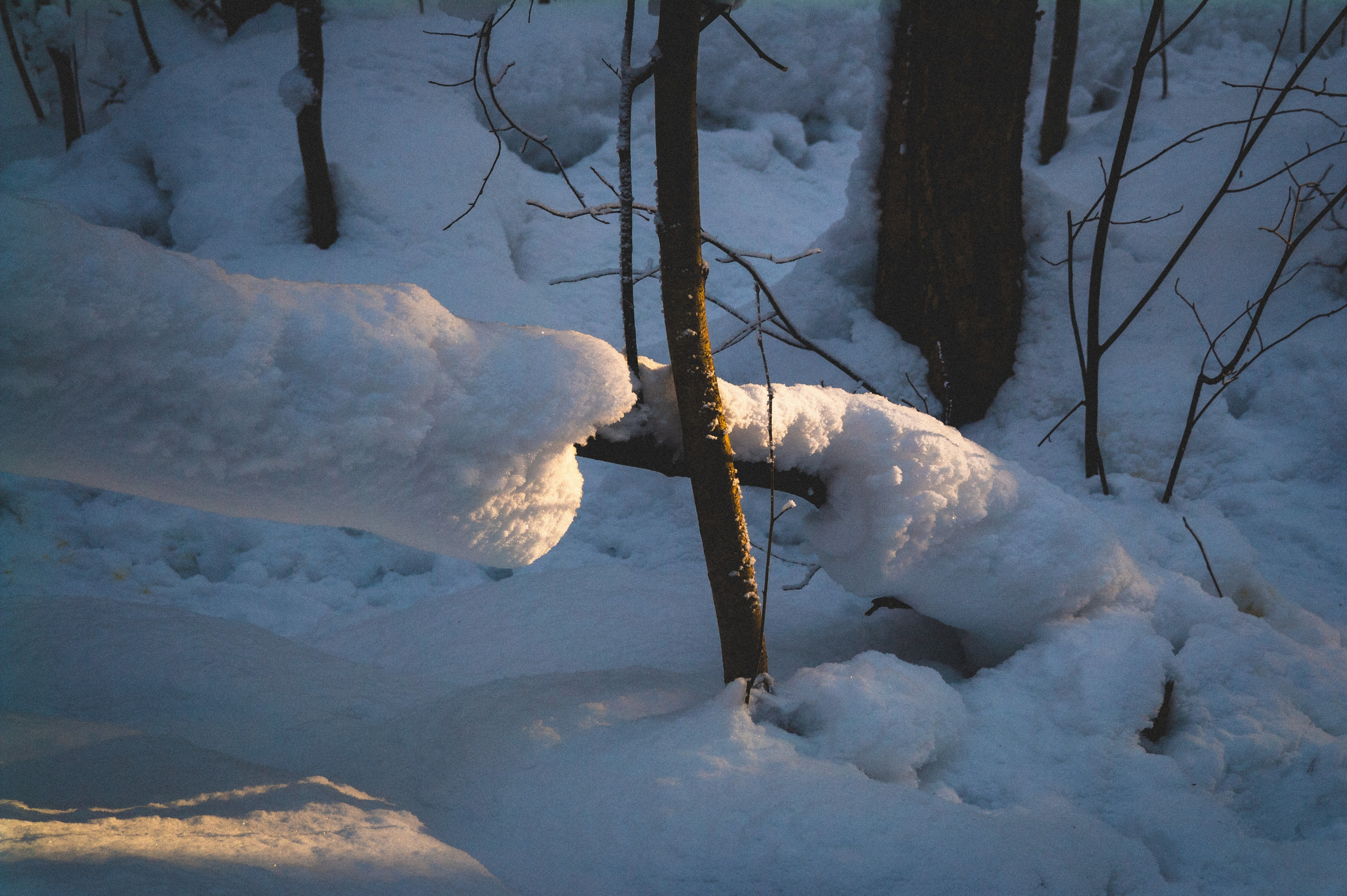 Тропа здоровья. Den Mirov — Фотограф, Музыкант