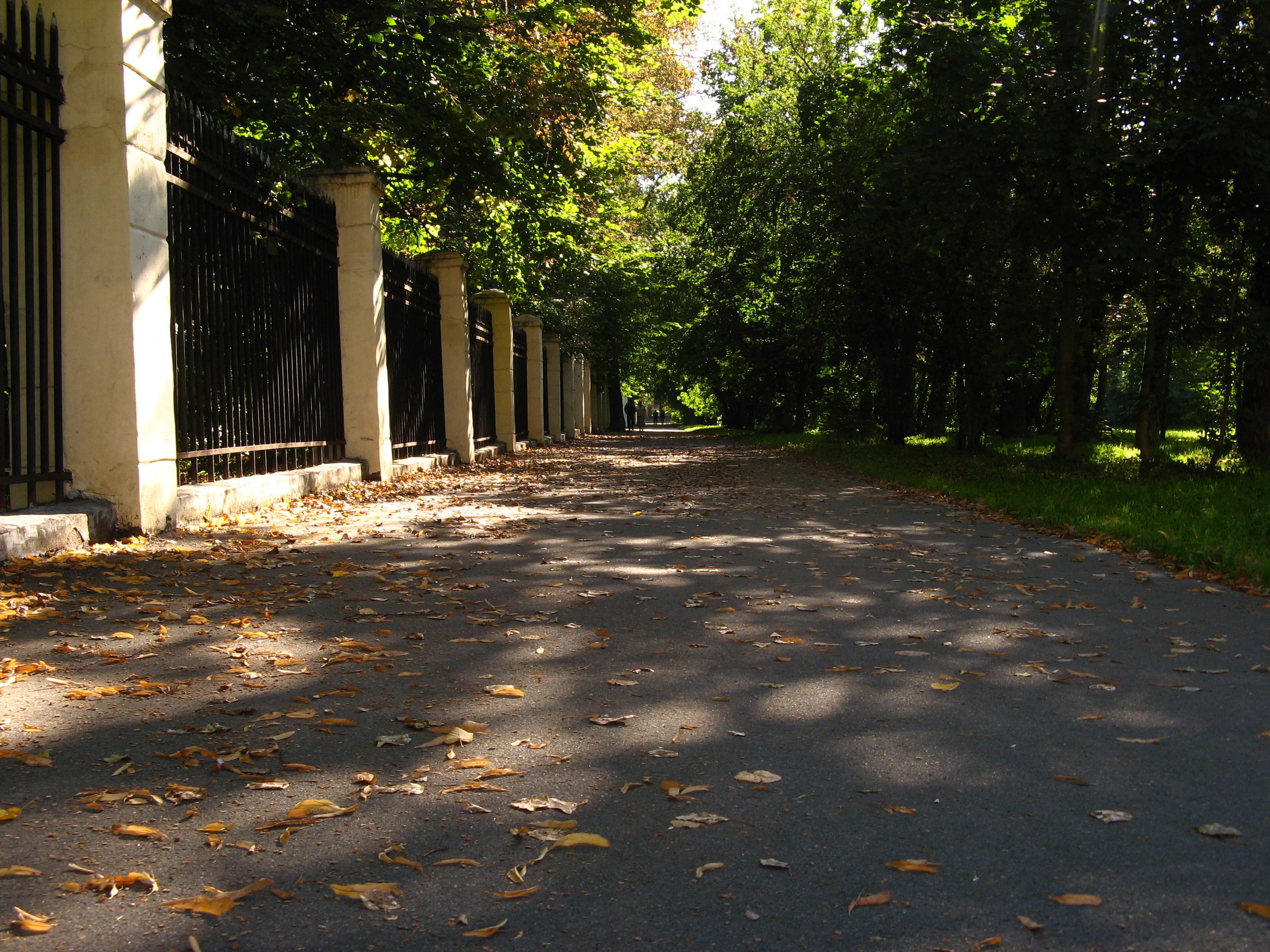 Сентябрь 2025. Den Mirov — Фотограф, Музыкант