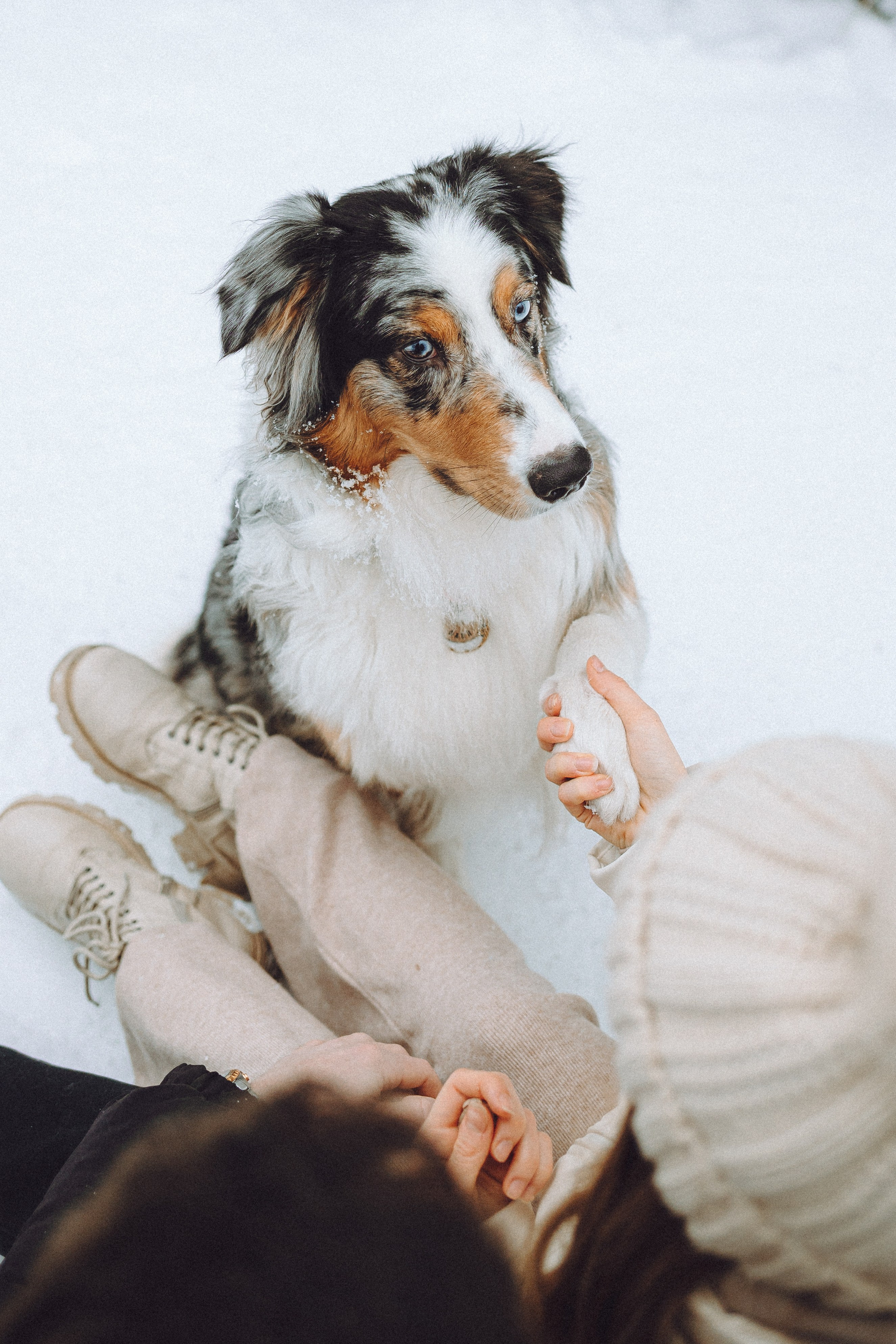 Фаня и ее семья