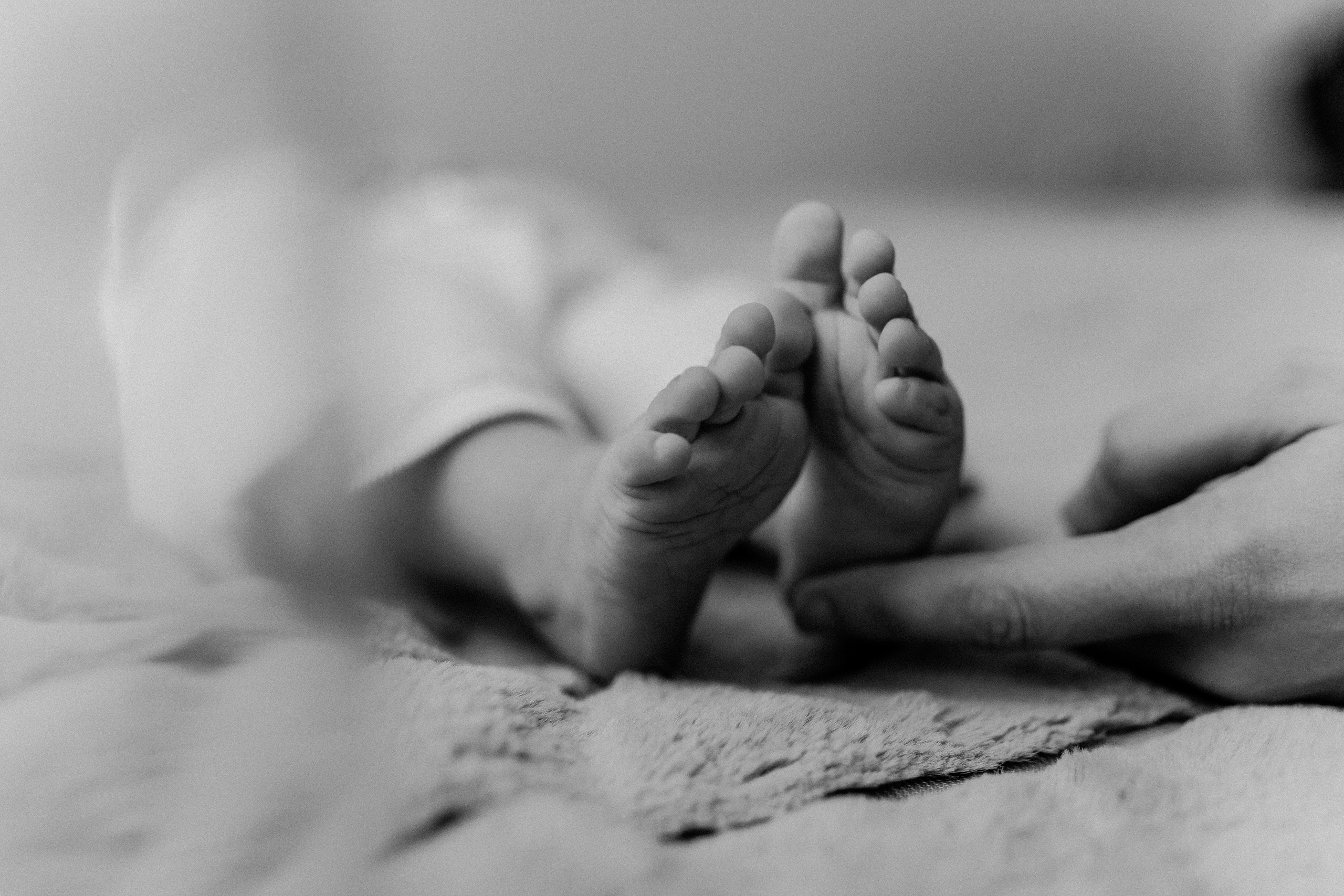 Малыши. Семейный фотограф в Нижнем Новгороде Анастасия Ушакова