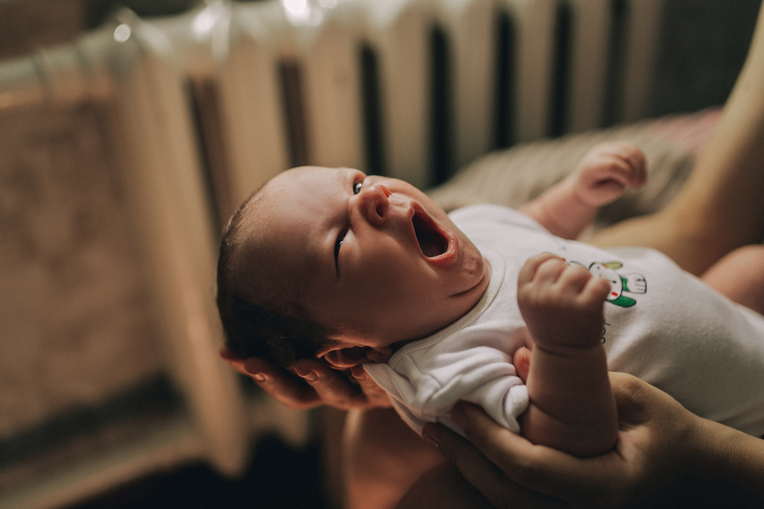 Малыши. Семейный фотограф в Нижнем Новгороде Анастасия Ушакова