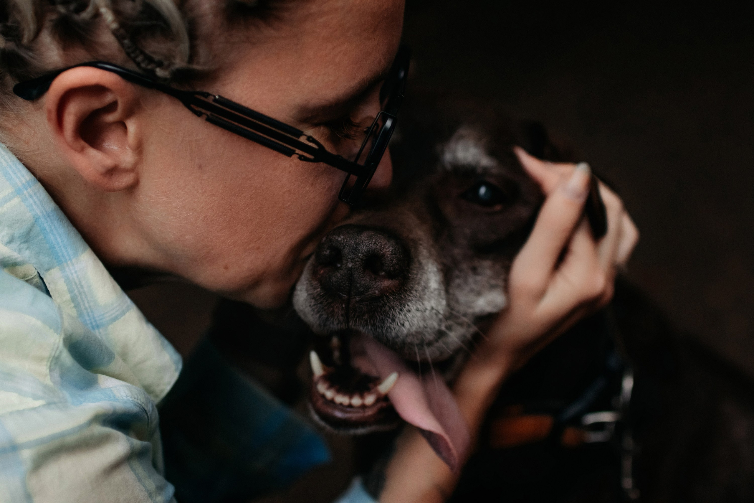 Юля и Свити. Фотограф Наталья Потапова