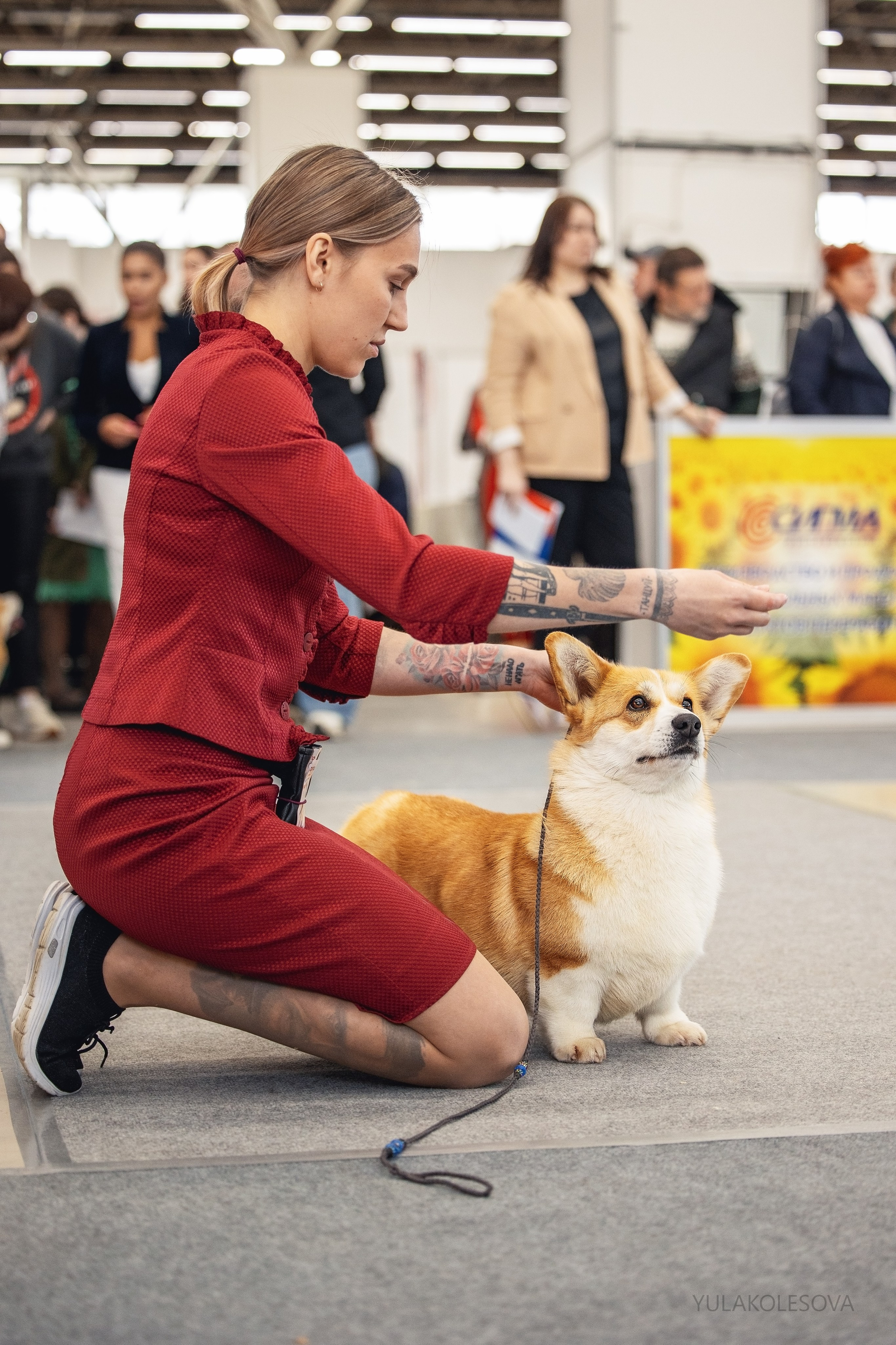 5.05.2024. YULA KOLESOVA | Фотограф — Анималист | Художник | Тюмень