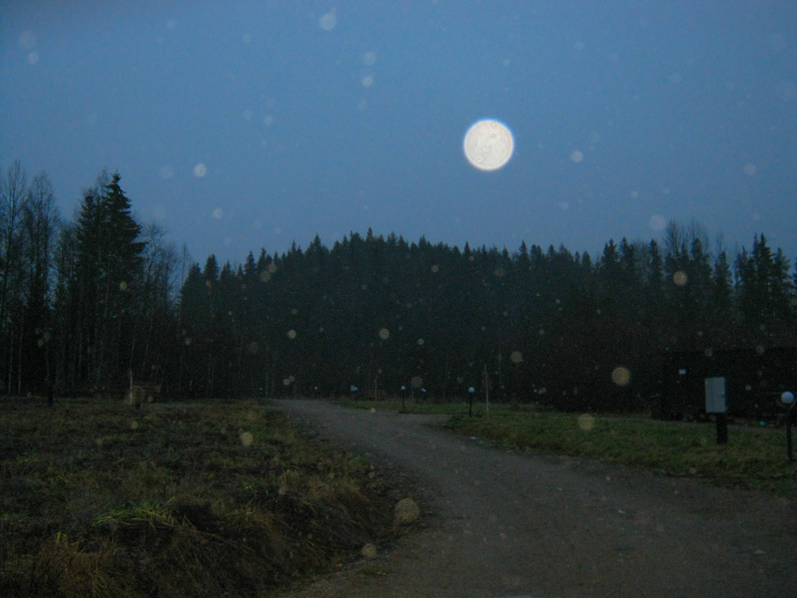 И вокруг меня. Портретный и концертный фотограф в Санкт-Петербурге Егор Телятников