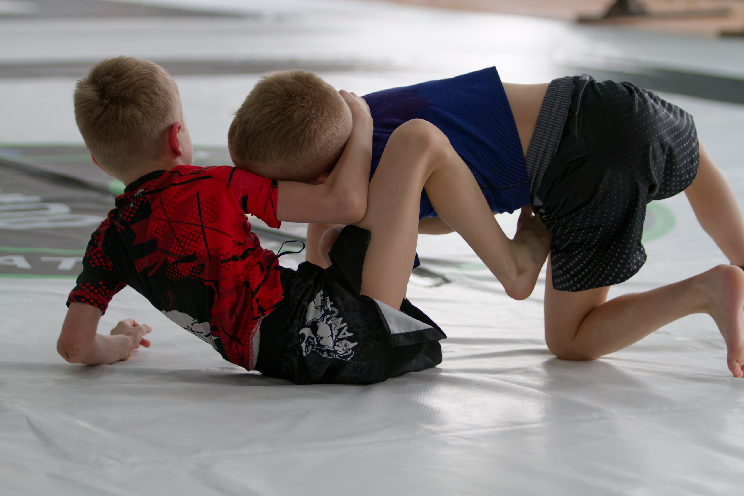 Борьба. Джиу-джитсу 26.04.2025. Репортажный и спортивный фотограф в г. Пермь Зильберг Павел