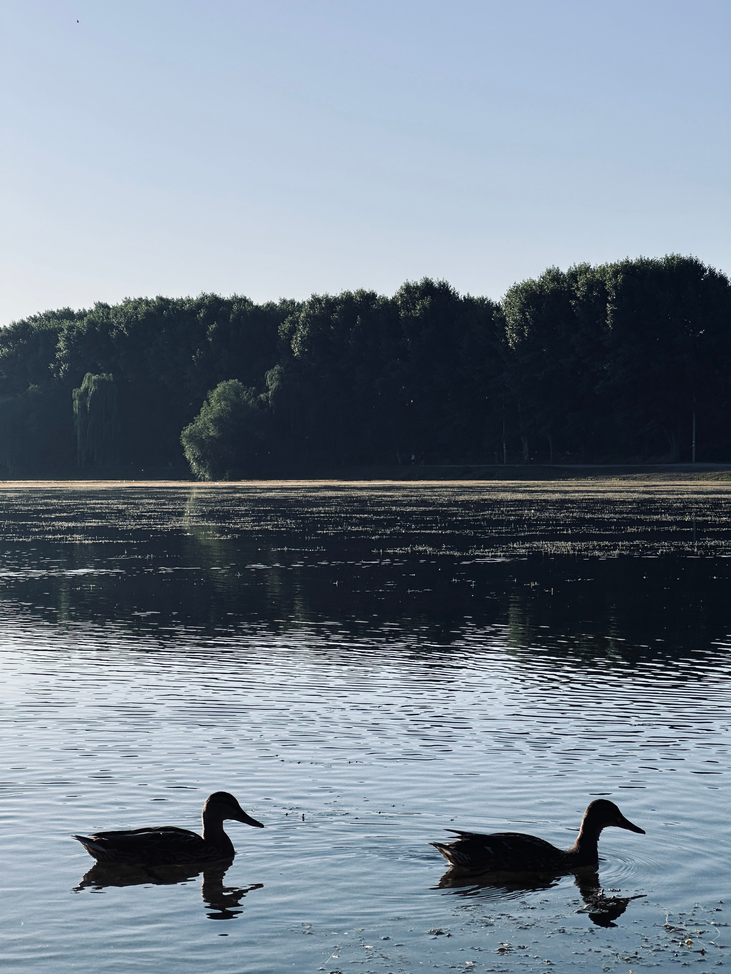 Флора и фауна. Смотри, красота!