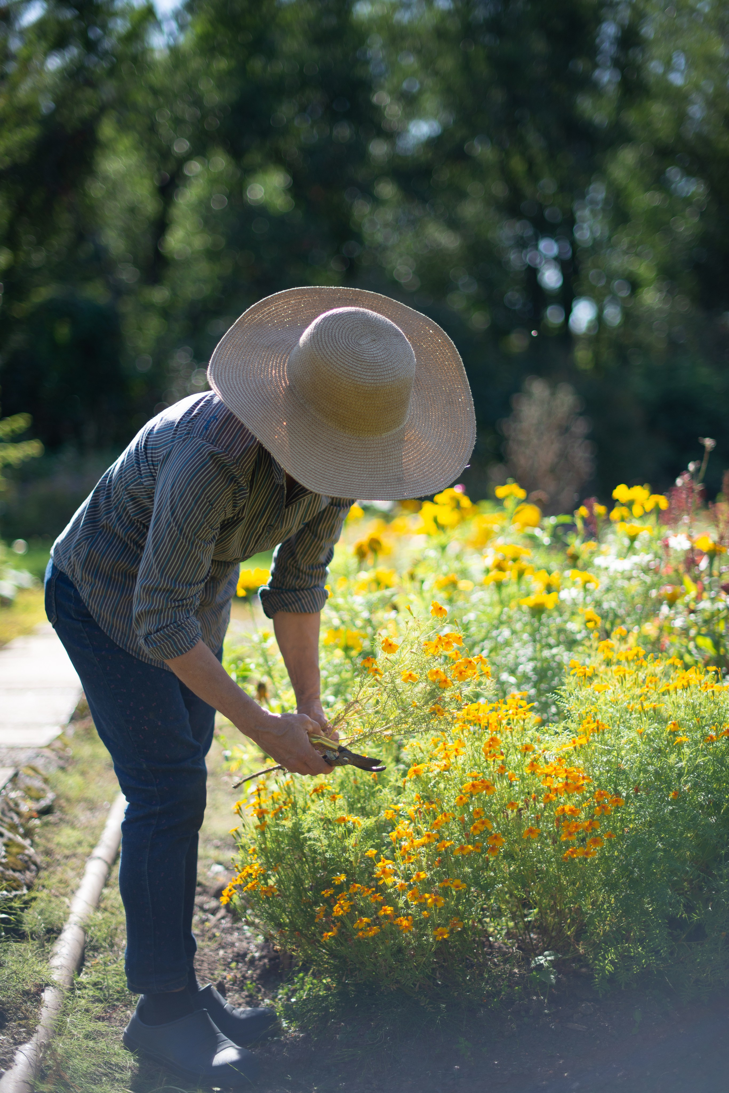 Цветы сада МГУ. Victoria Radjevna Репортажный Фотограф — Видеограф Москва • Санкт-Петербург