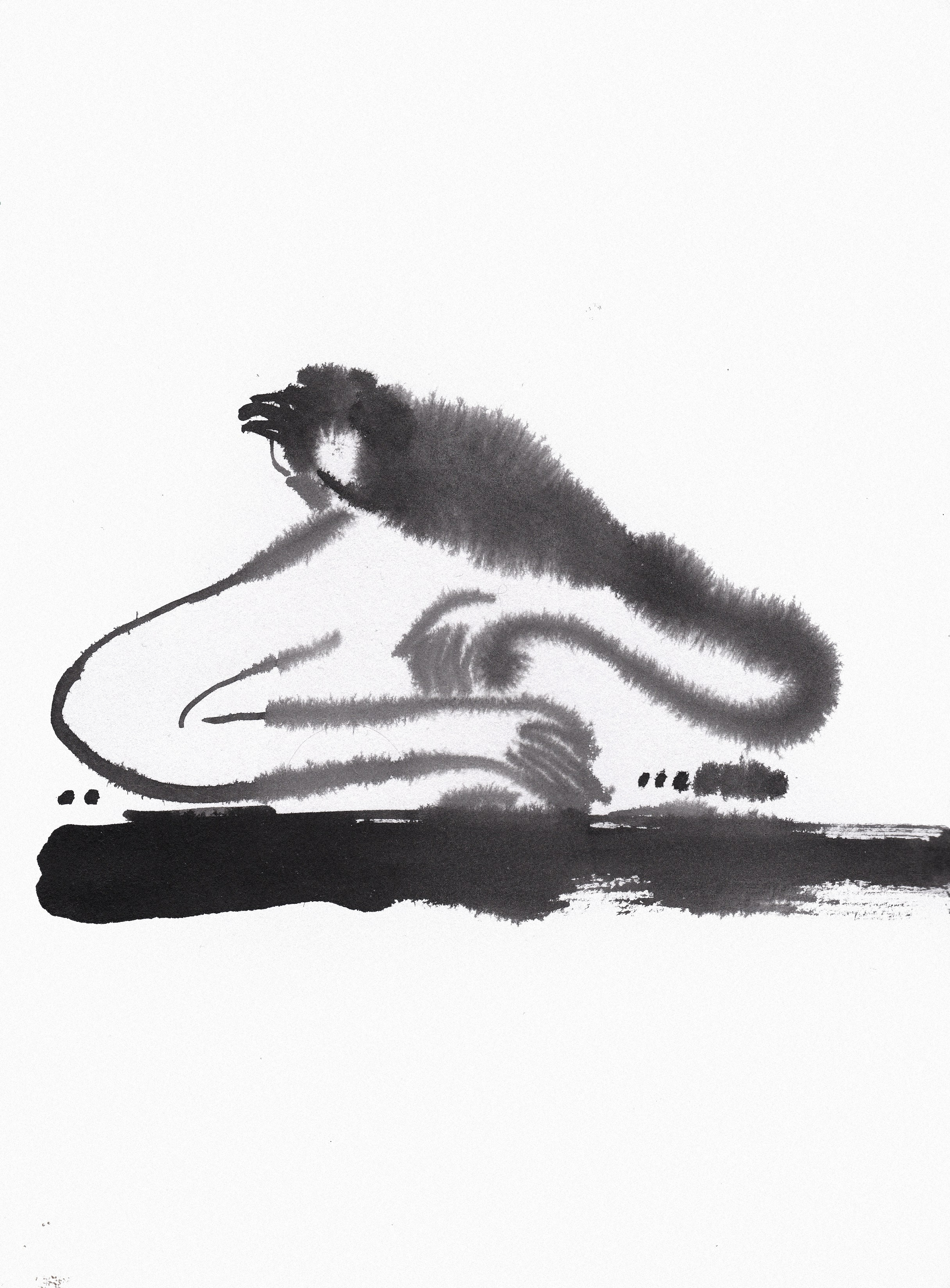 A Bar Story. Portfolio Birdcrush