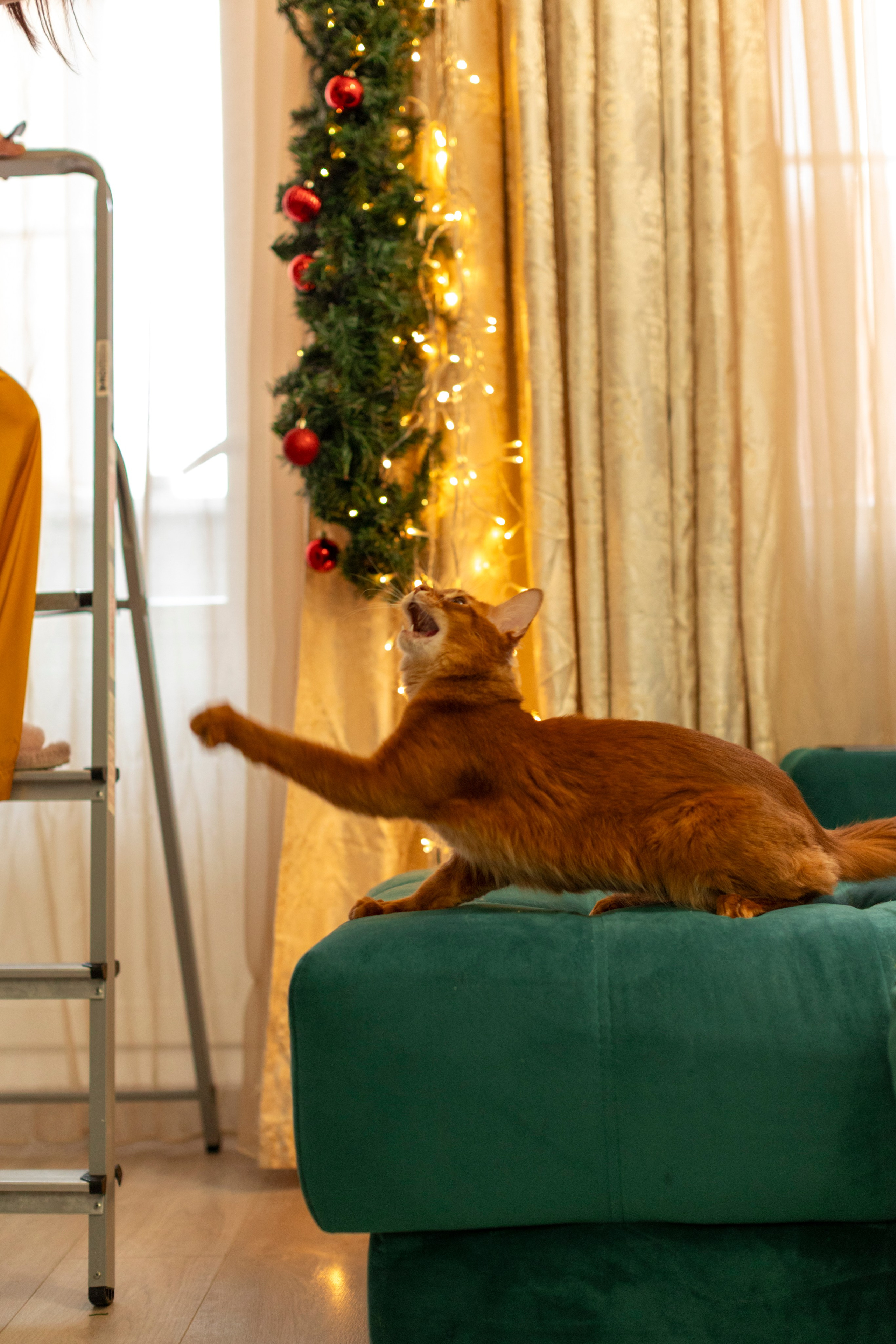 Сомали. Art my Pho