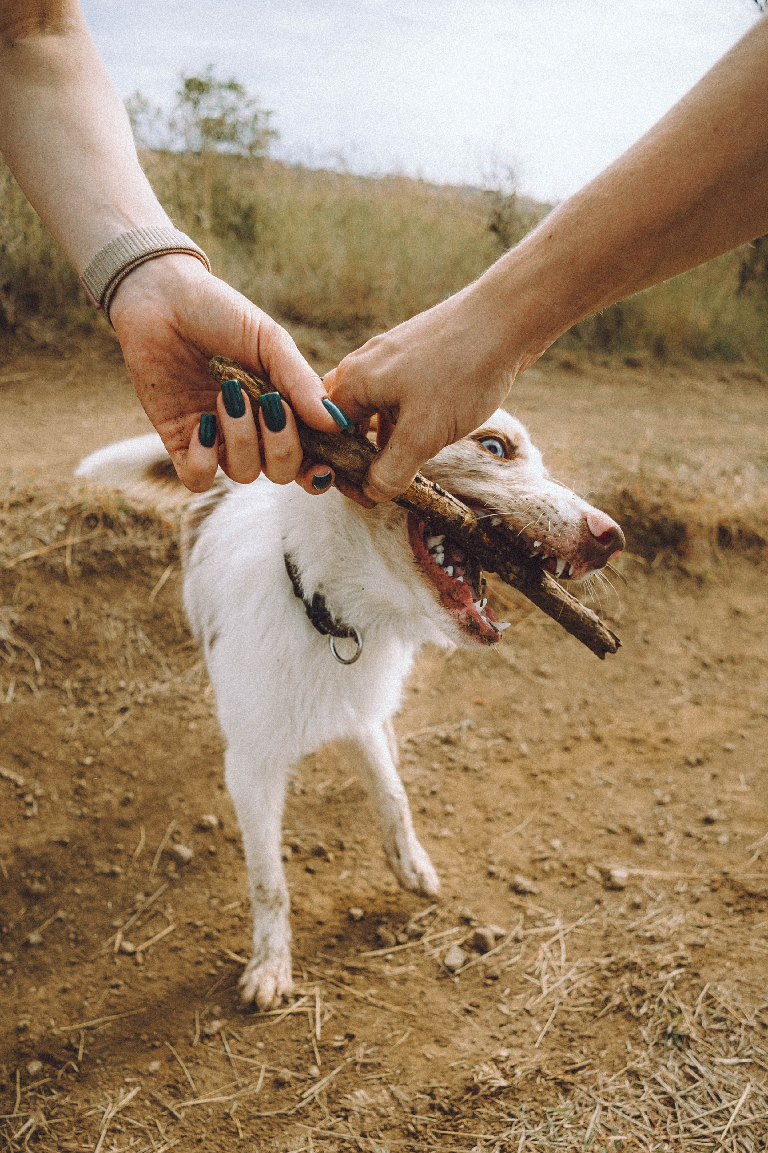 Оля, Саша и Айко