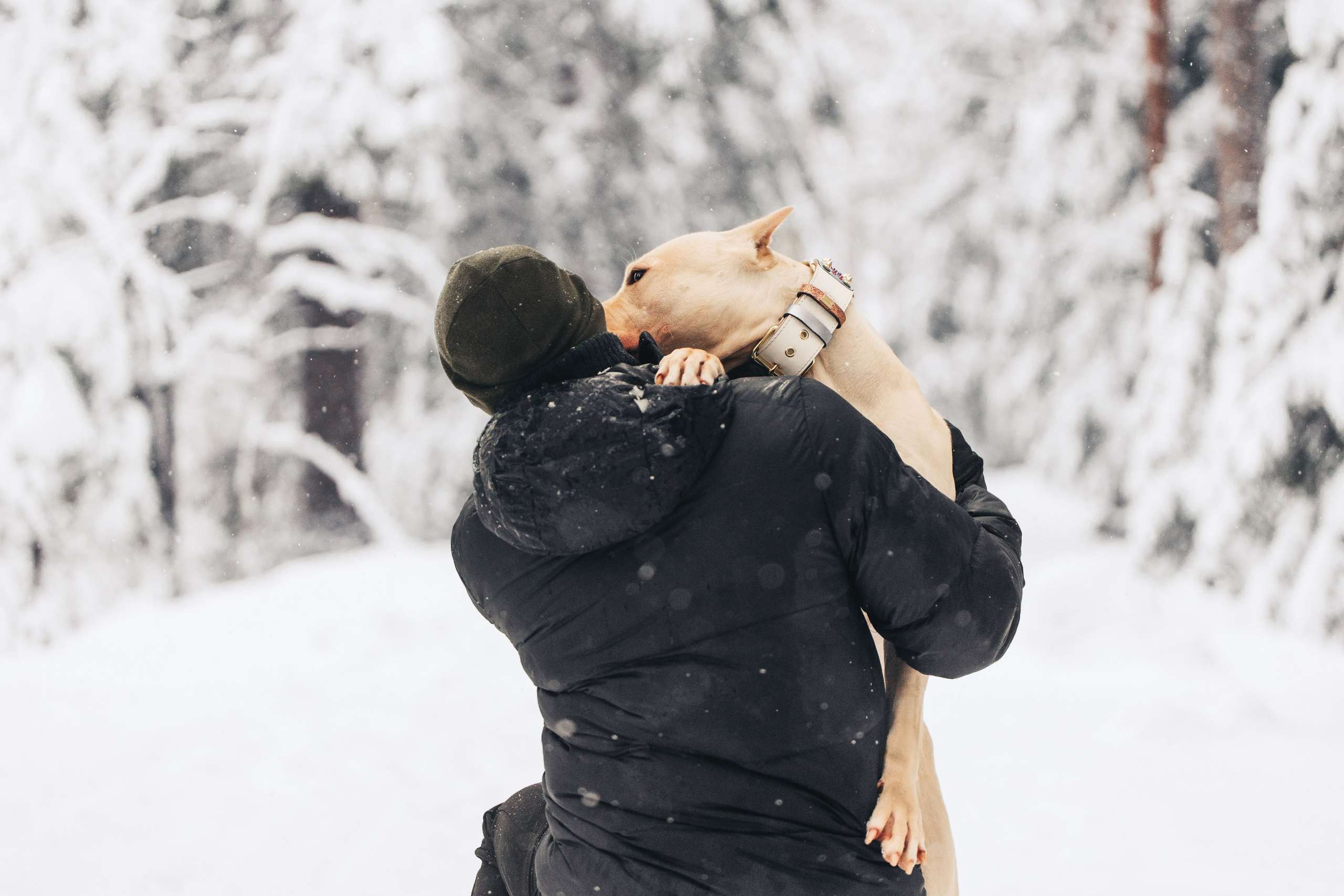 Фотопрогулки. Фотограф для людей и их питомцев Вика Шальнева