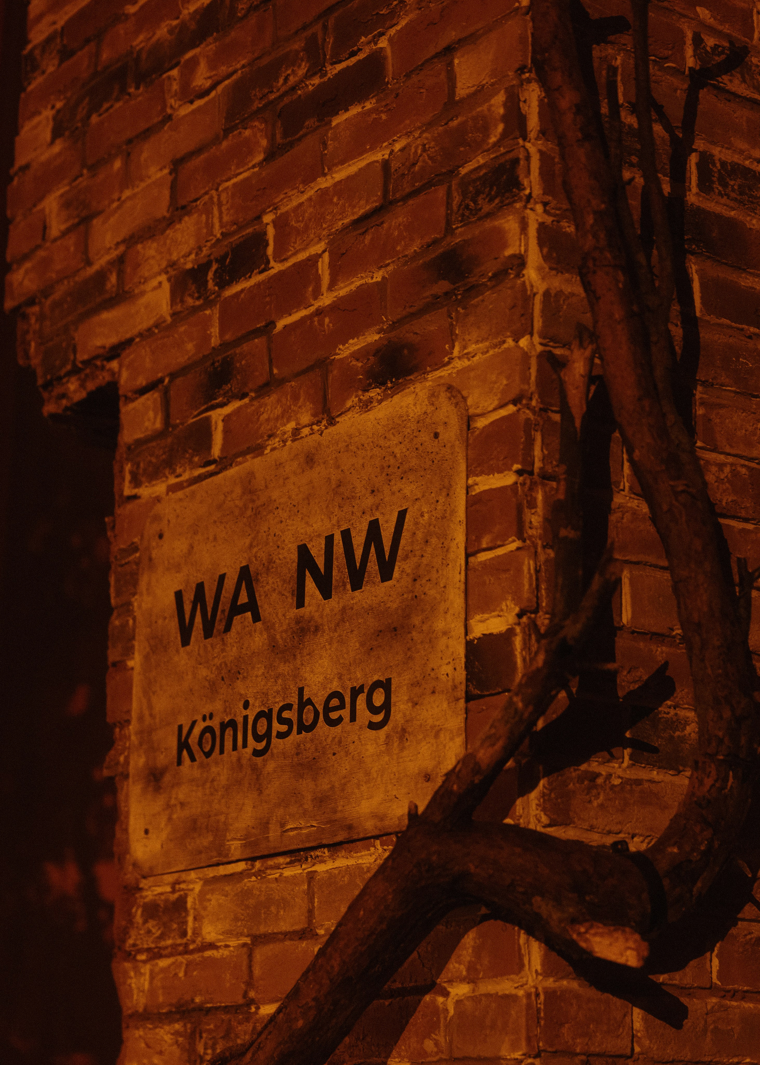 Wedding Awards Северо-Запад. Свадебный и репортажный фотограф в Москве Владимир Сергеев | Naysaikolo