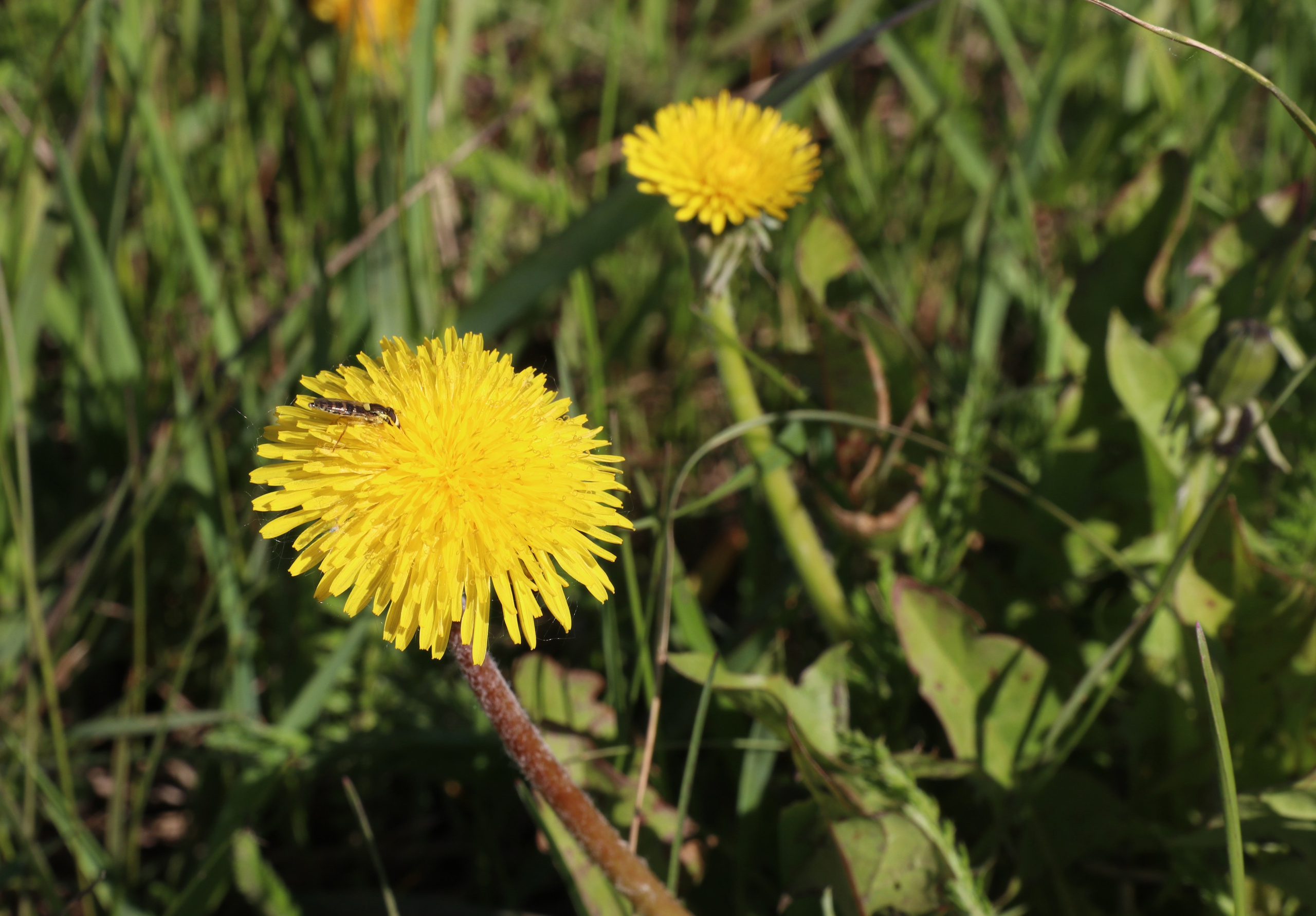 Велопоход Уфа — Мелеуз. Май 2024. Путешественник-фотограф из Санкт-Петербурга Татьяна Свистулина