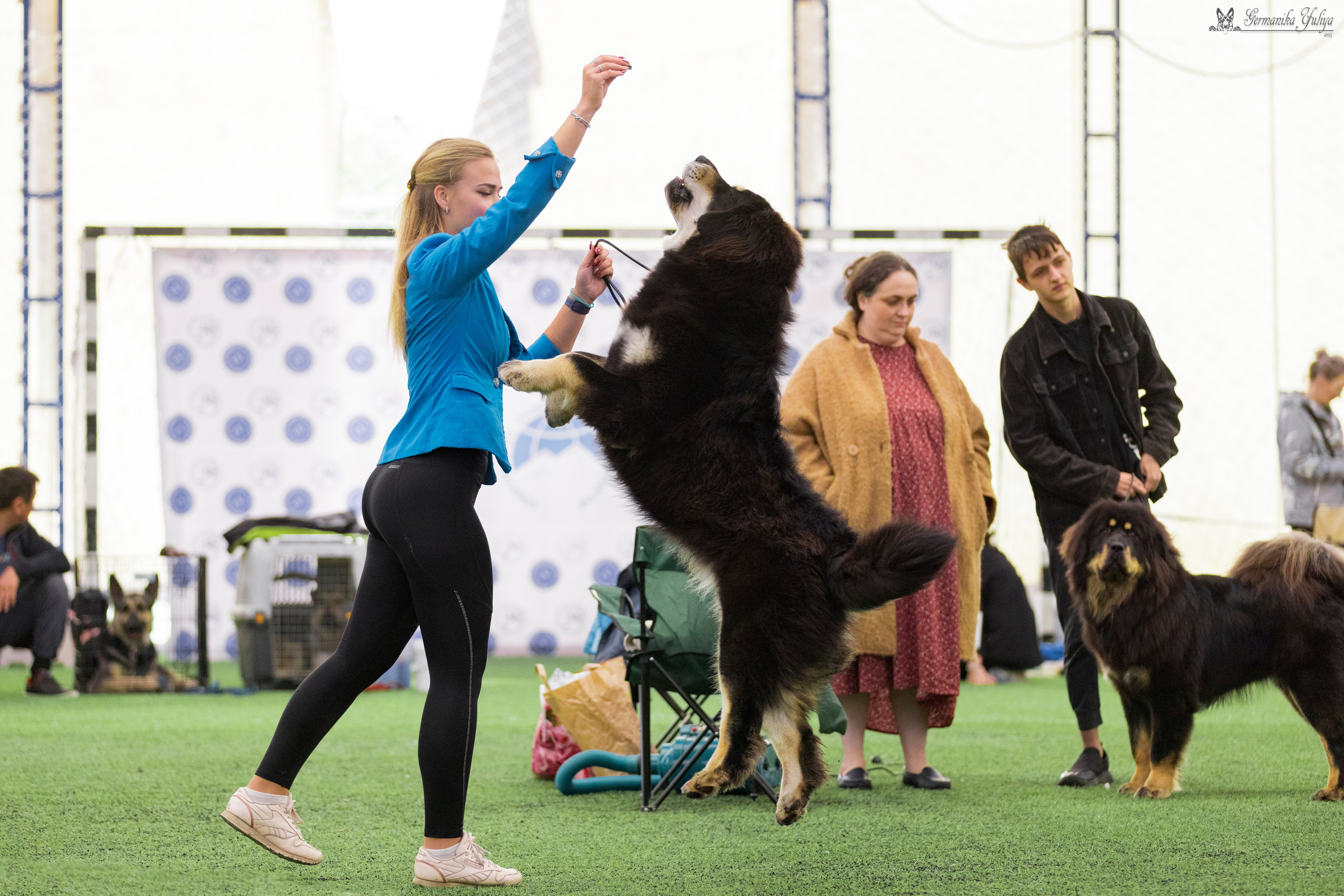 Ташкент 6-8.10.2023 + Алматы 14-15.10.2023. Фотограф-анималист Юлия Германика