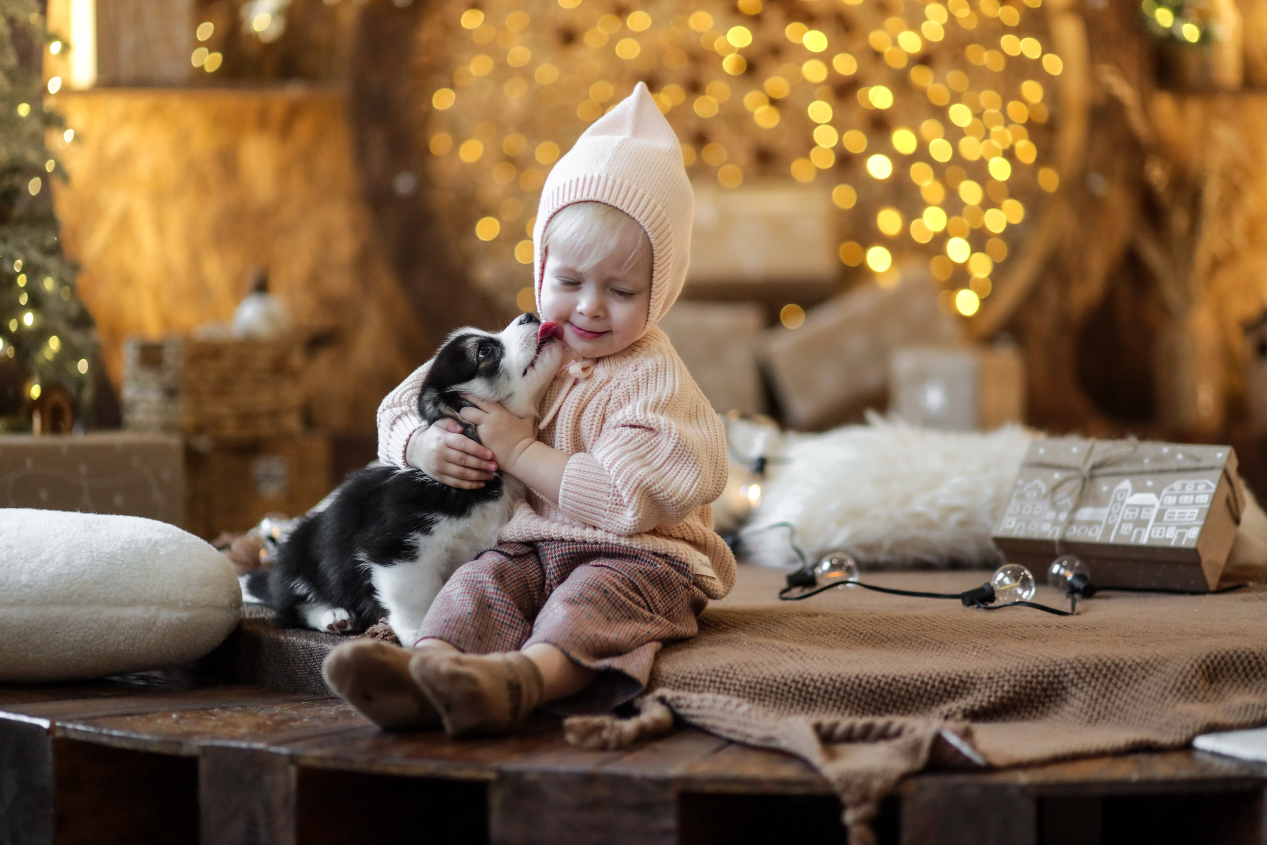 Светлана и Алена. Kharchenkotatianaweddingphoto