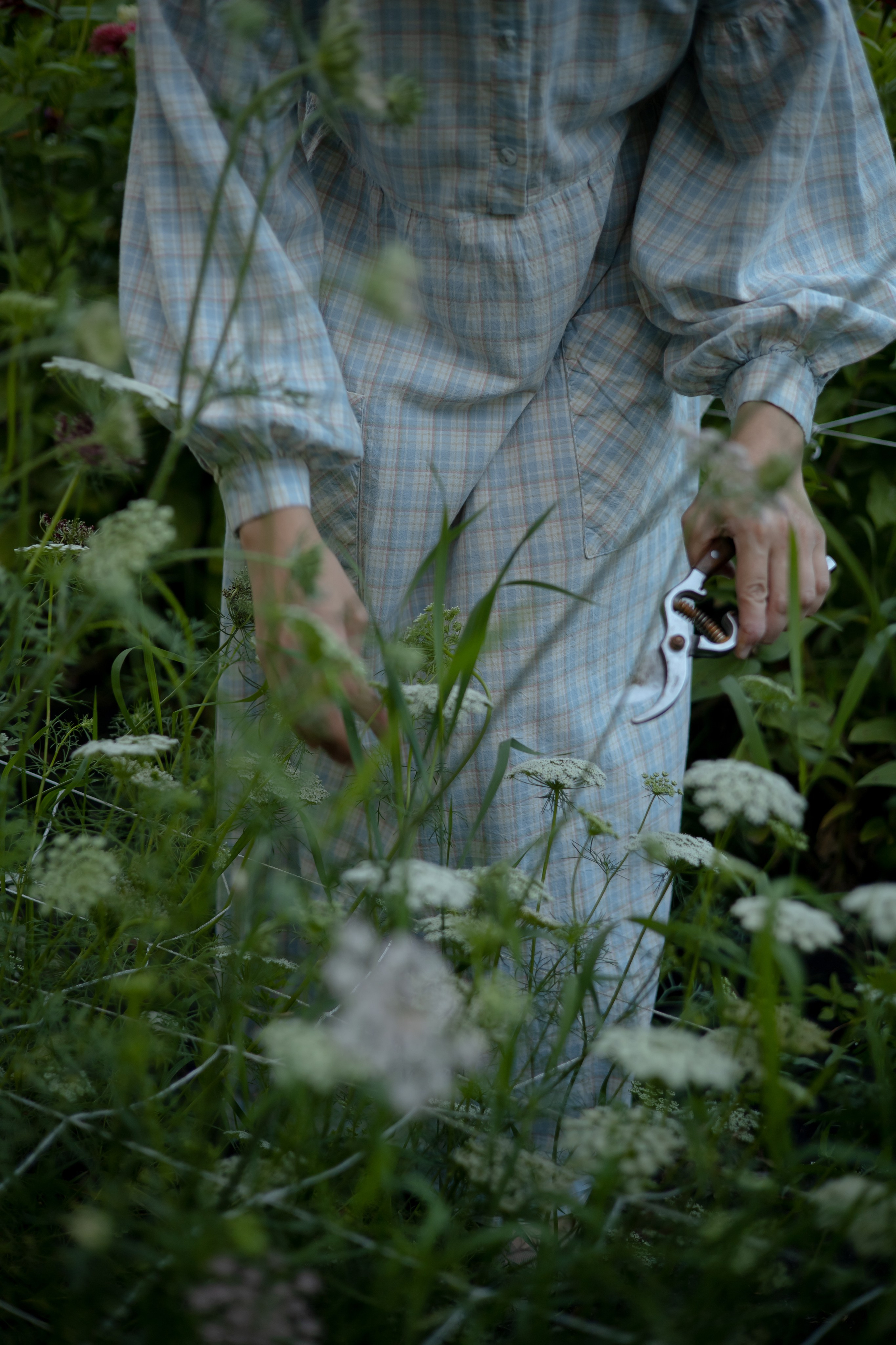 ДИНИЯ. Фотограф Элла Ефимова