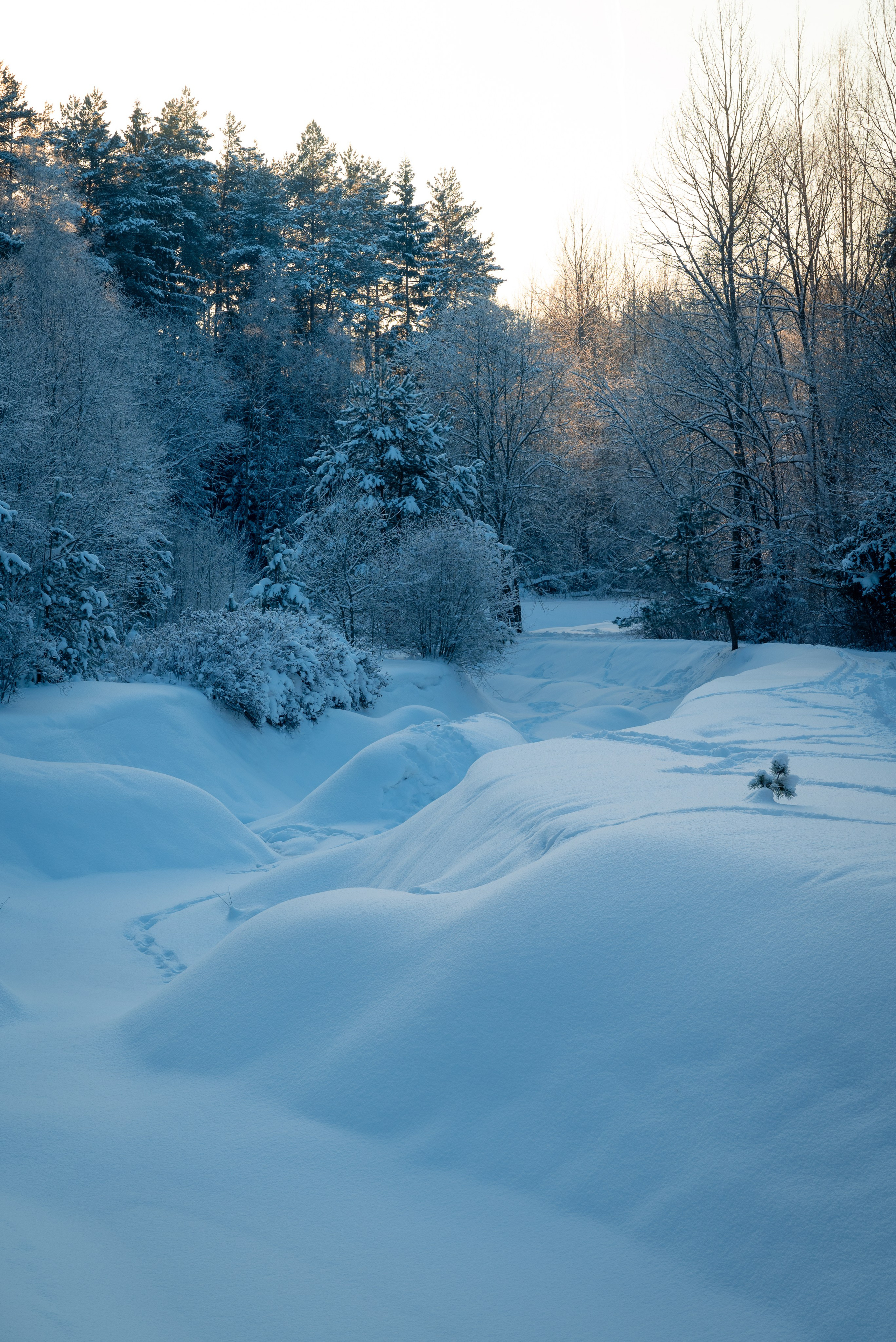 Места. Фотограф в Минске Дарья Кончакова