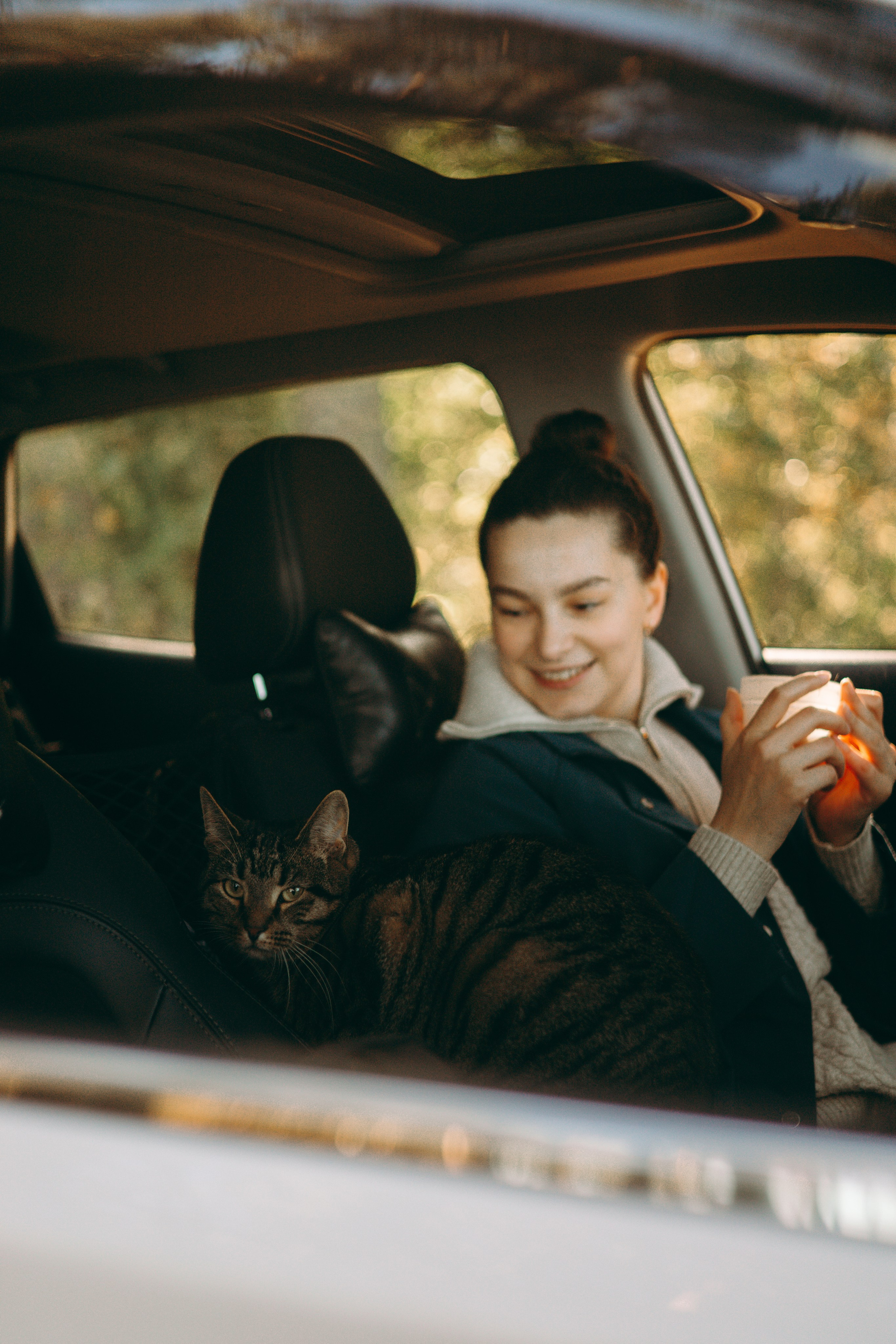 Настя & Айрис. Их глаза-как два огонька в ночи. Фотограф — анималист •love-story•|Санкт-Петербург