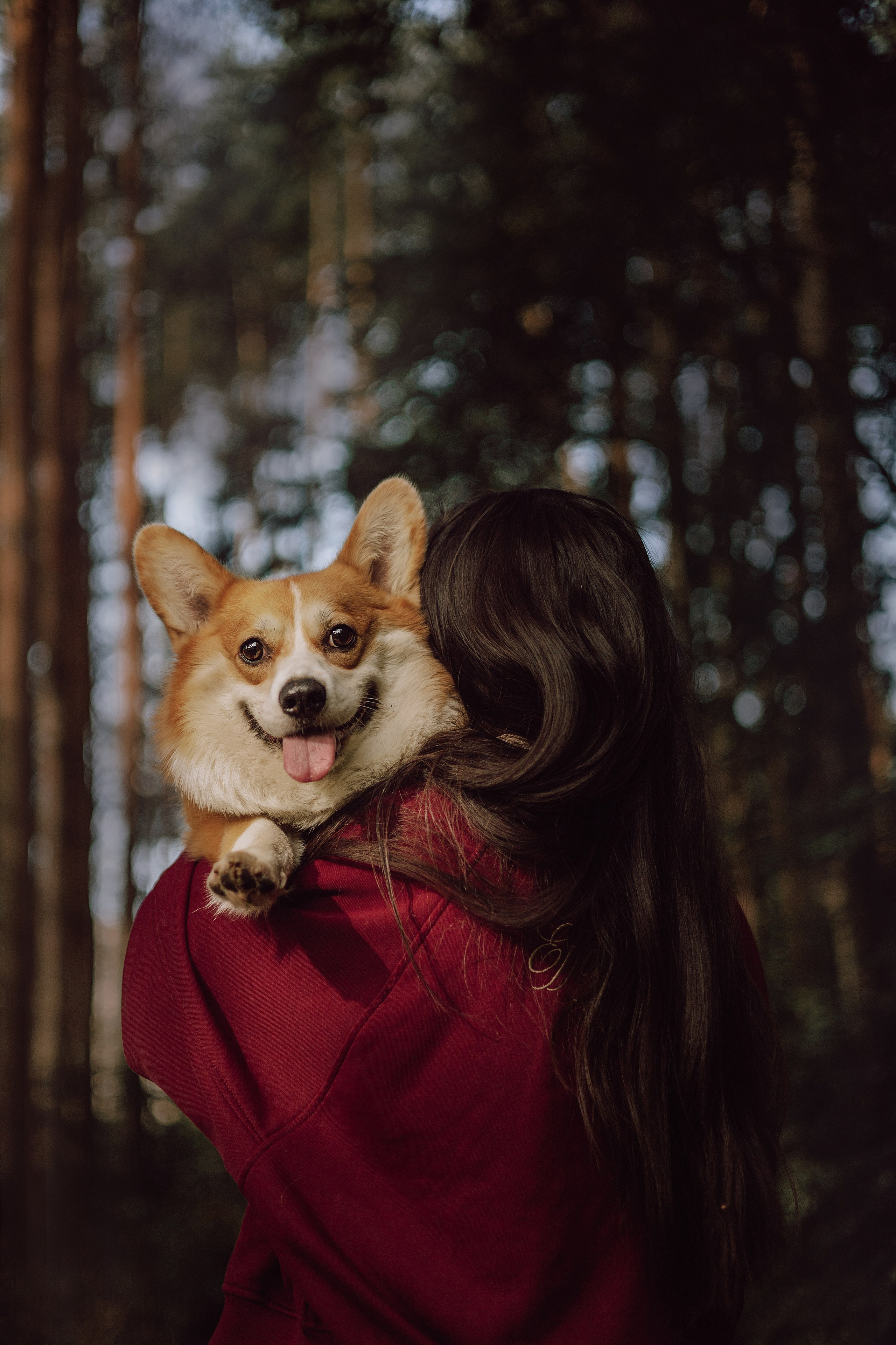 Мари & Йосик. Фотограф — анималист •love-story•|Санкт-Петербург
