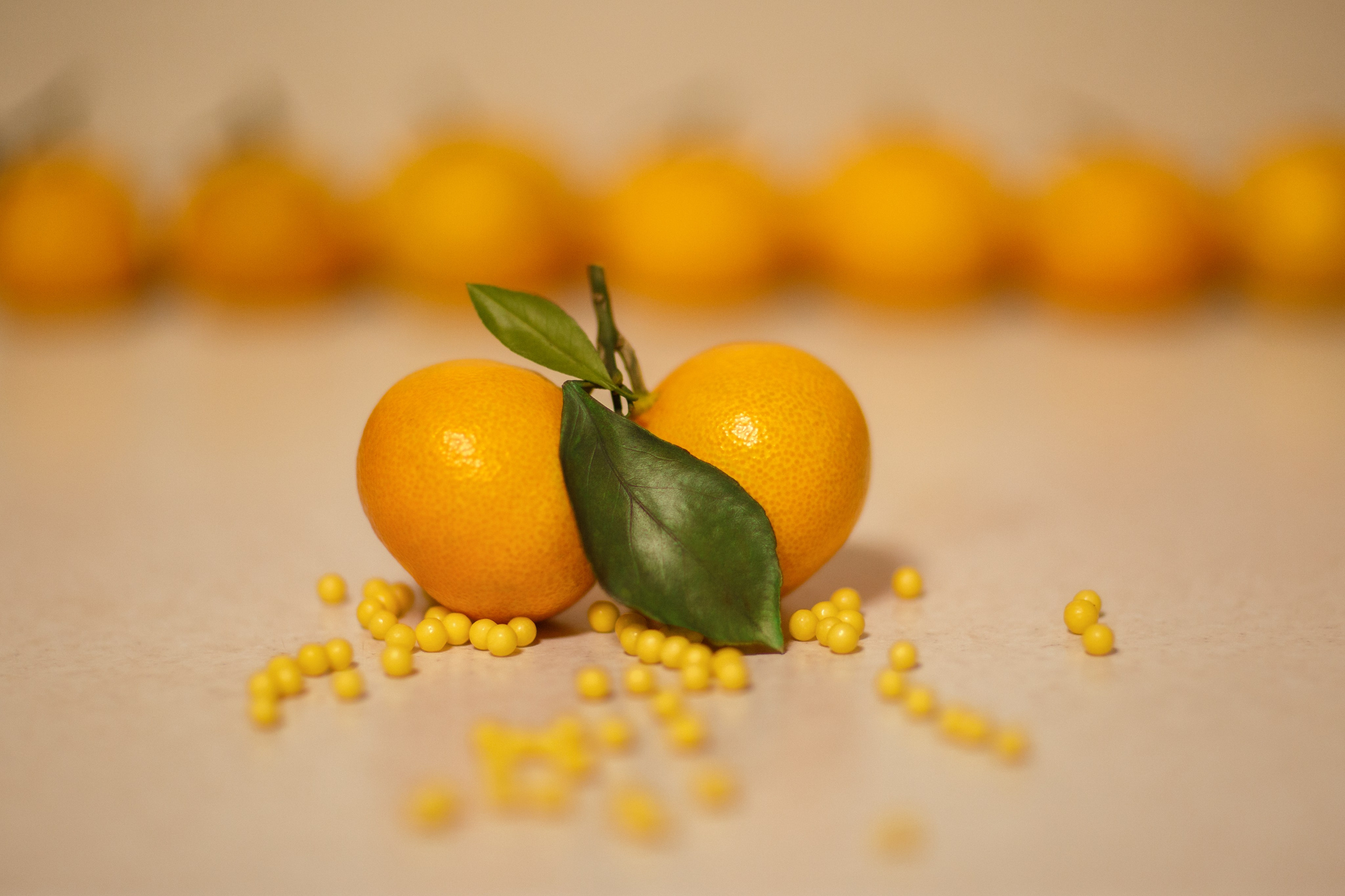 Проект «366»|2024|Фото каждый день. LENA GRACE photographer ||ЛЕНА ГРЭЙС фотограф