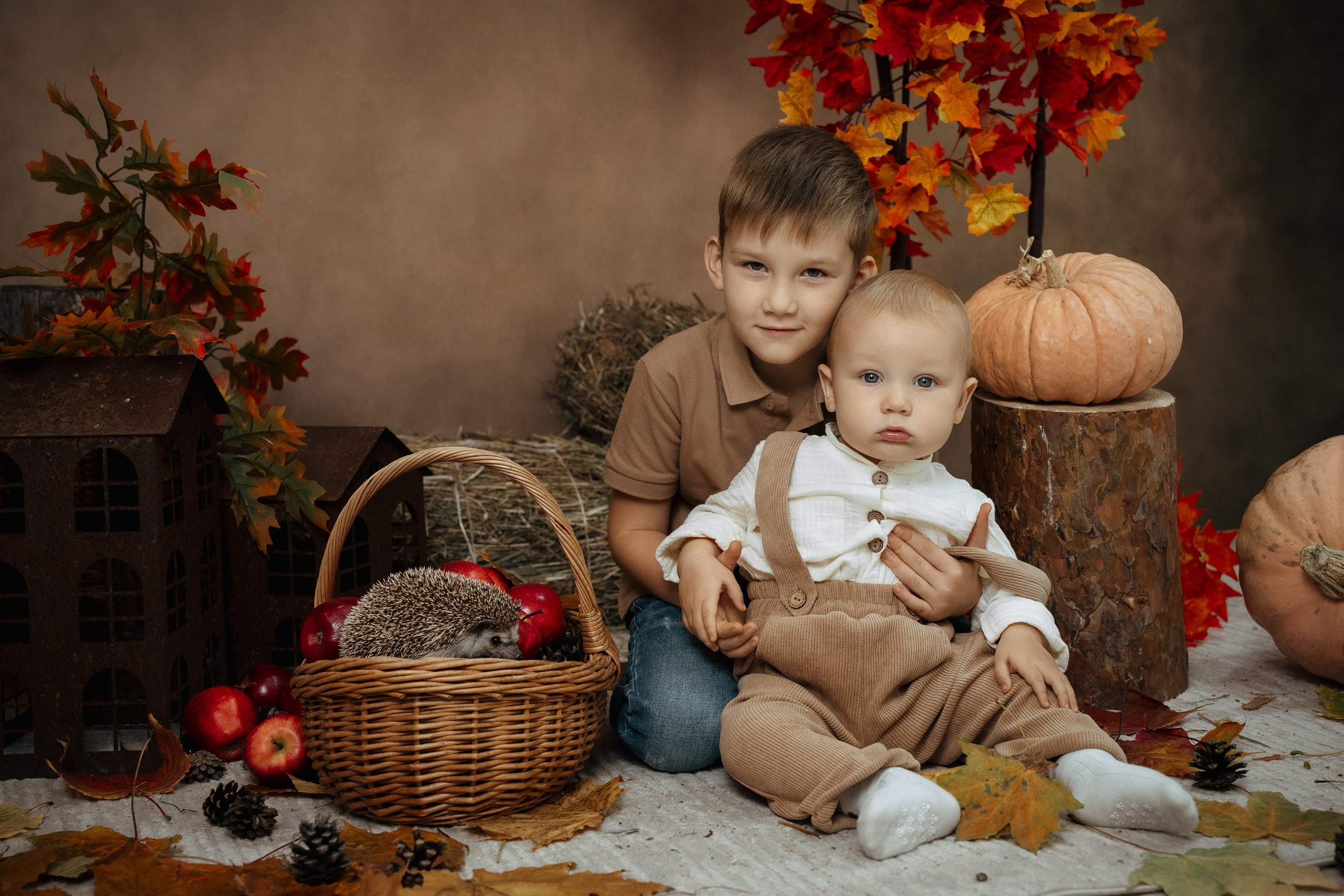 Ёжик. Фотограф Казакова Анастасия