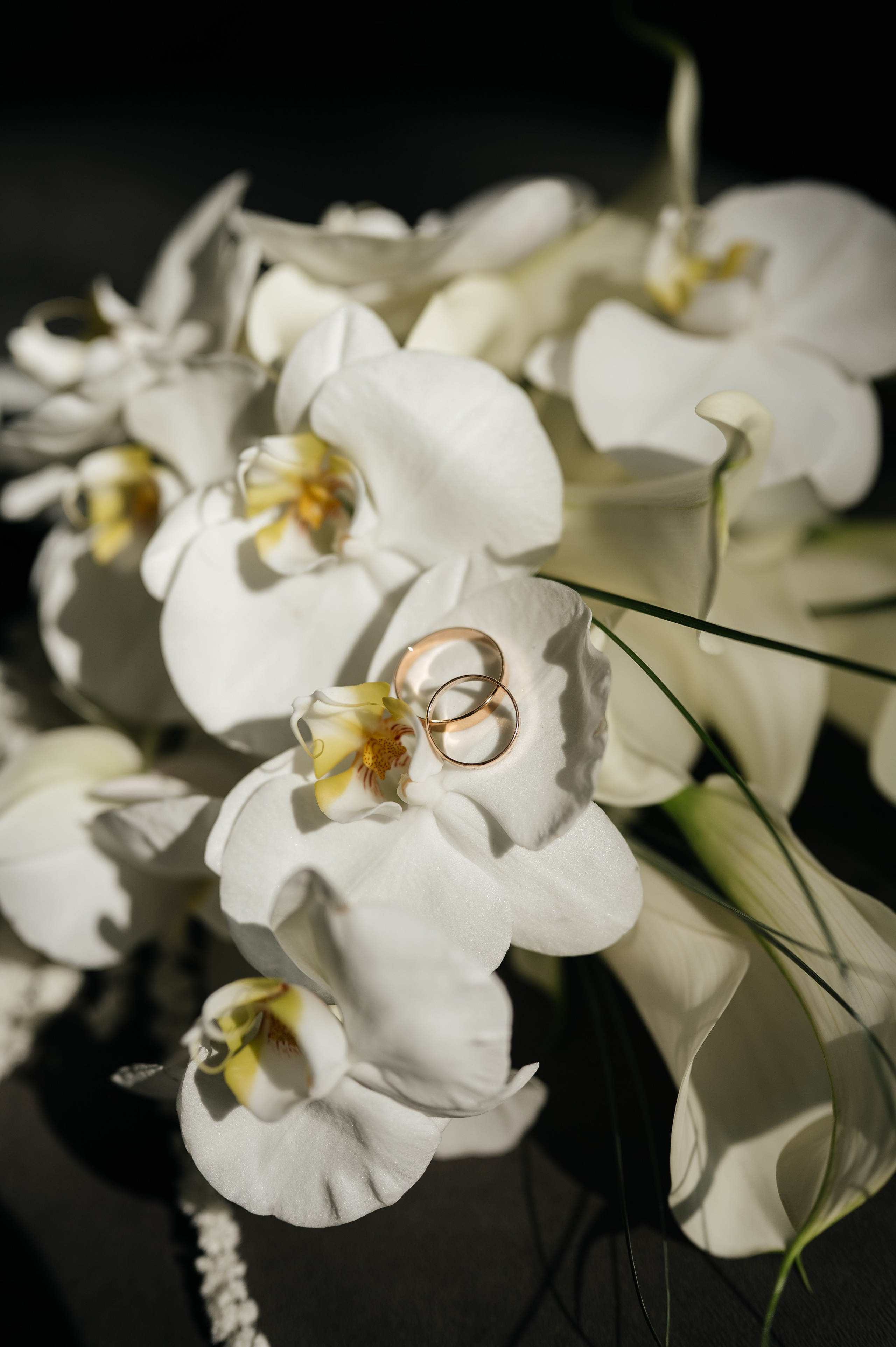 Генрих и Ксения. Свадебный и семейный фотограф в Краснодаре Алина Мельник