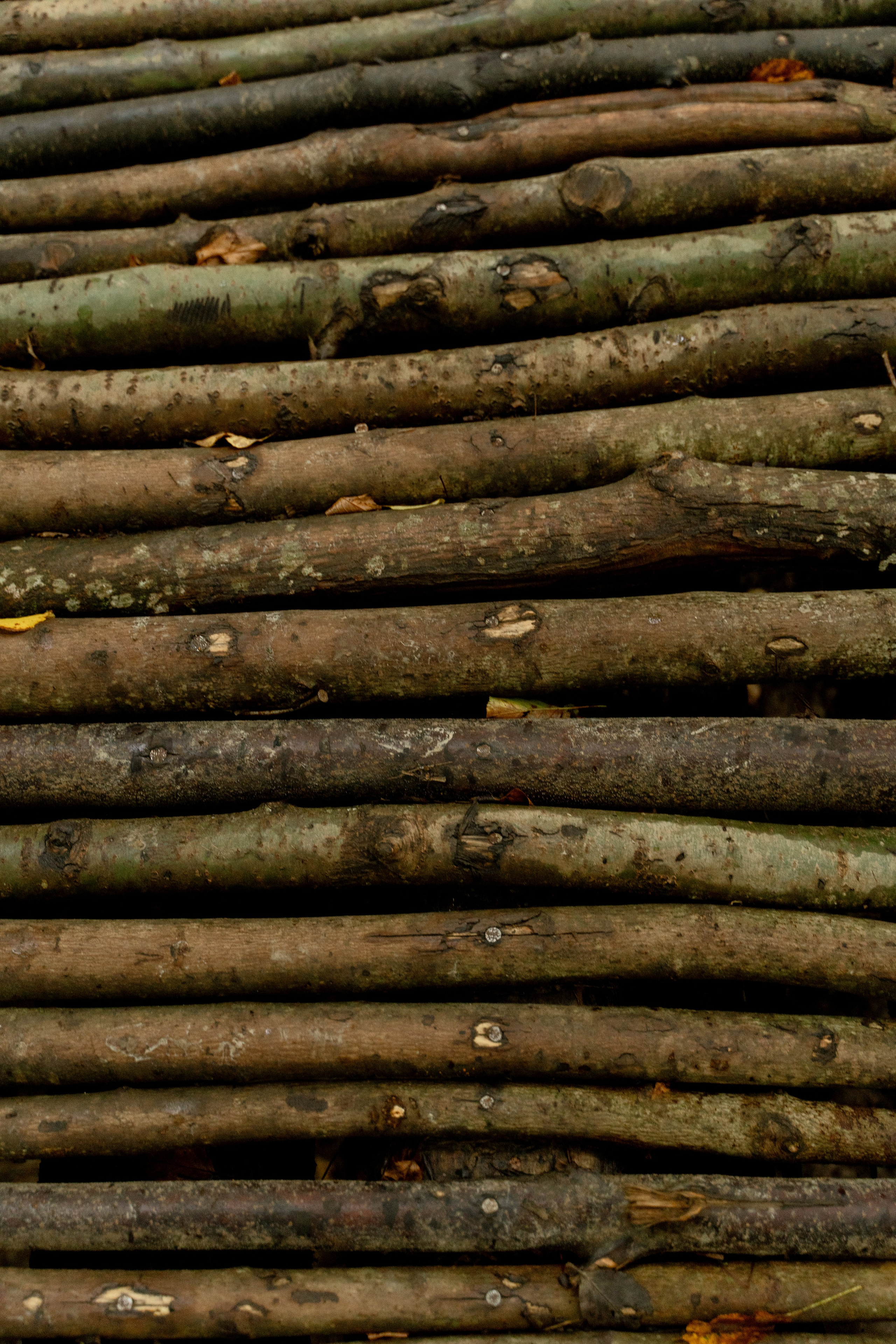 Полина. Фотограф в Смоленске, Москве и Санкт-Петербурге