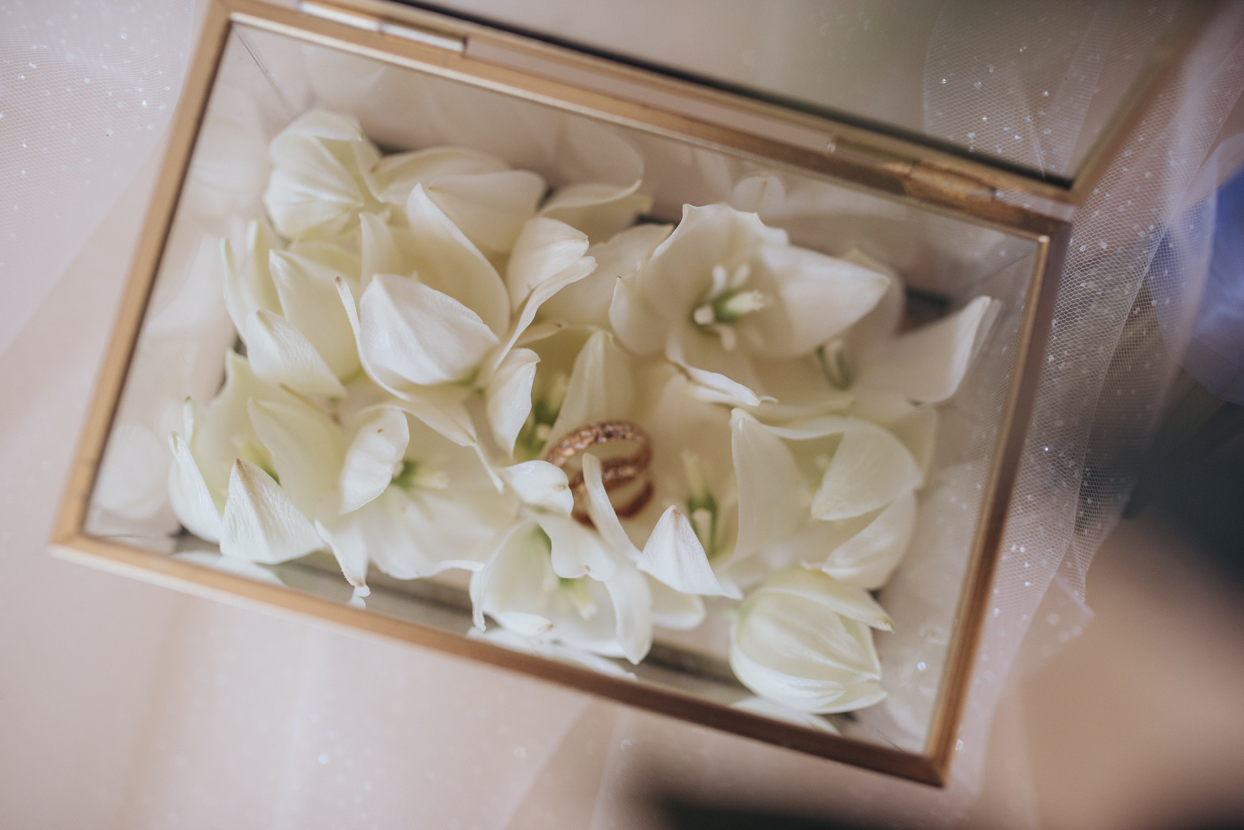 Вадим +Виталина. Главная