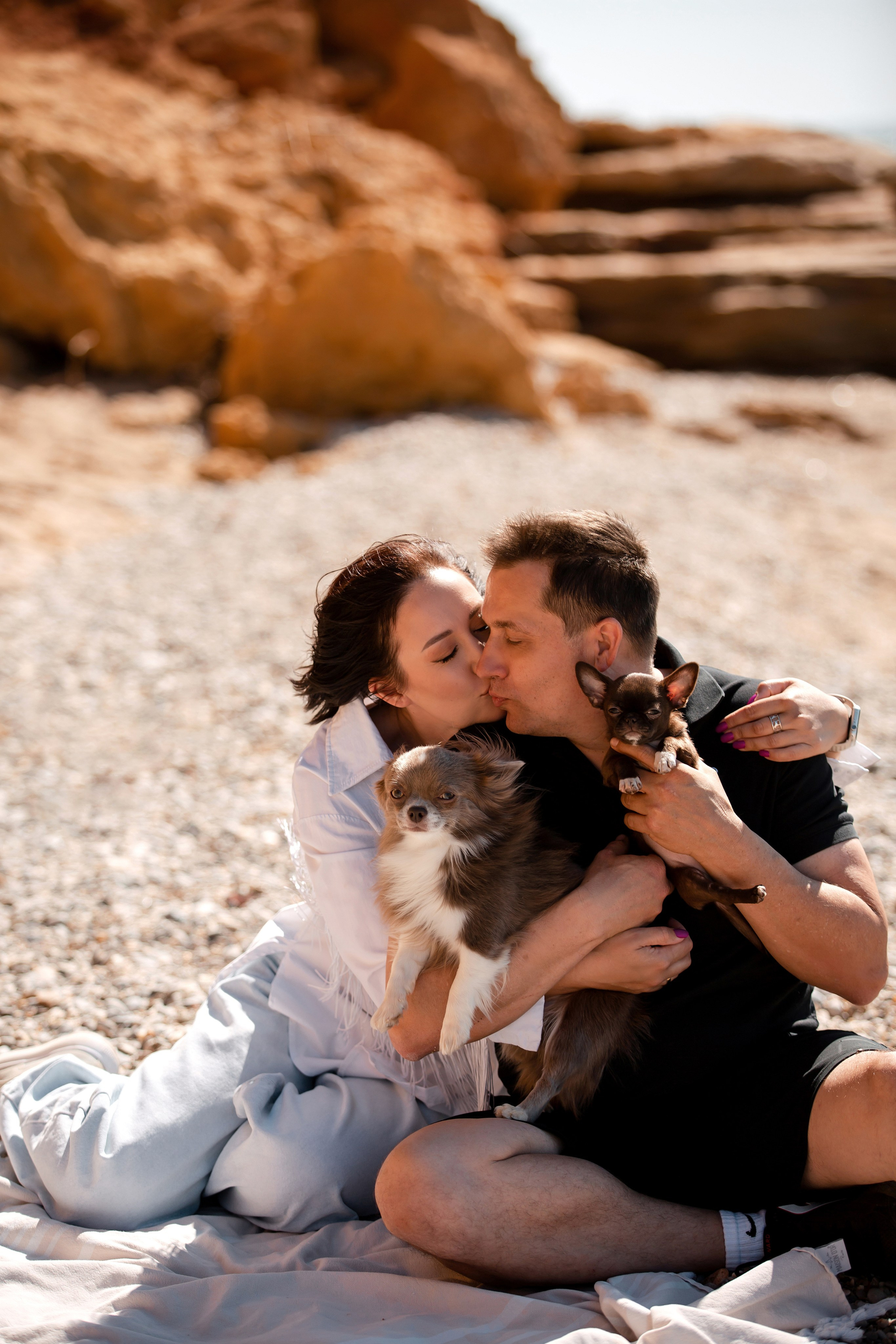 Веймаранер и чихуахуа в Крыму. Фотограф-анималист в Краснодаре Маша Мельникова