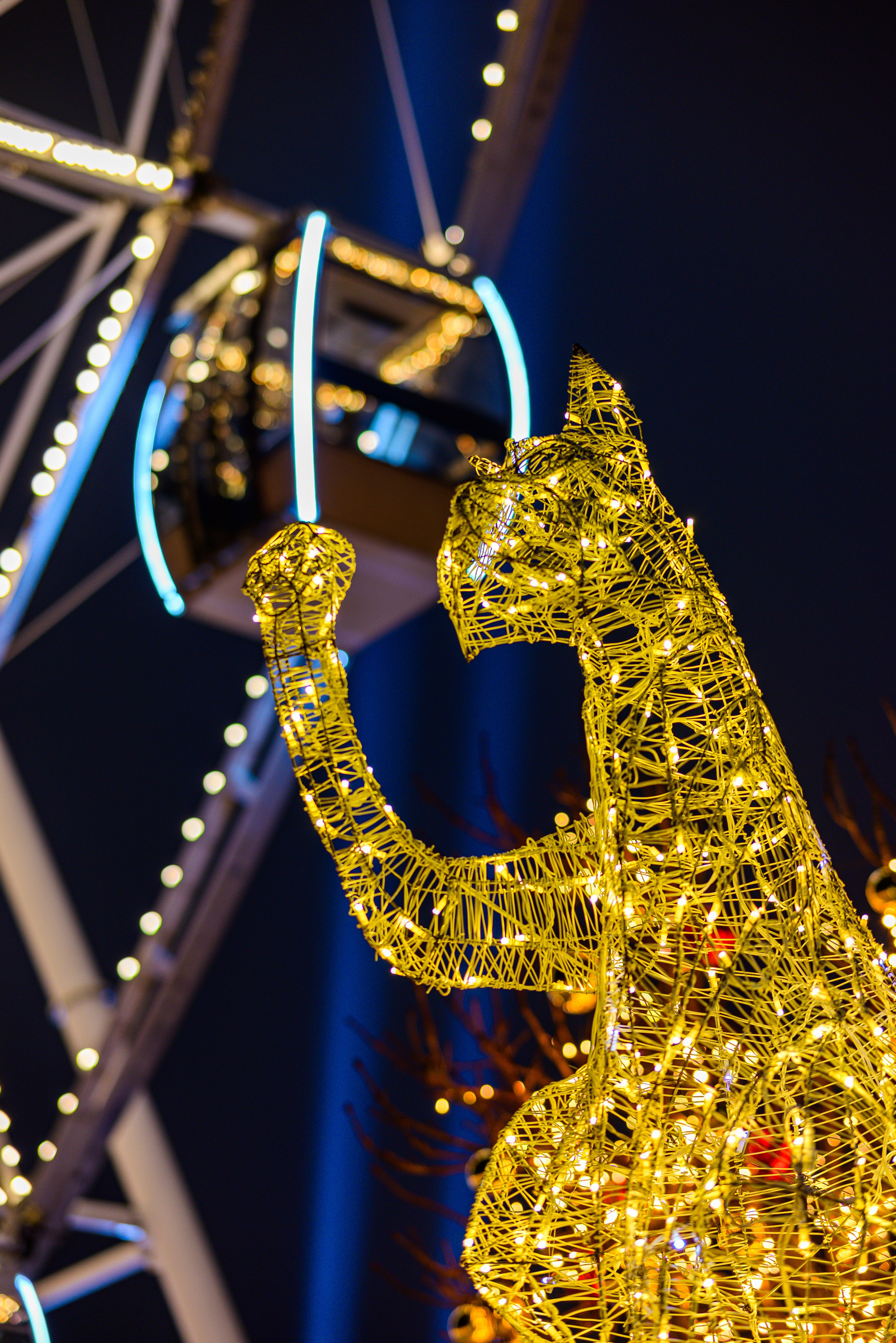 Зимняя Калининградская область. Фотосъемка и видеосъемка в Калининграде Liveemotion.pro