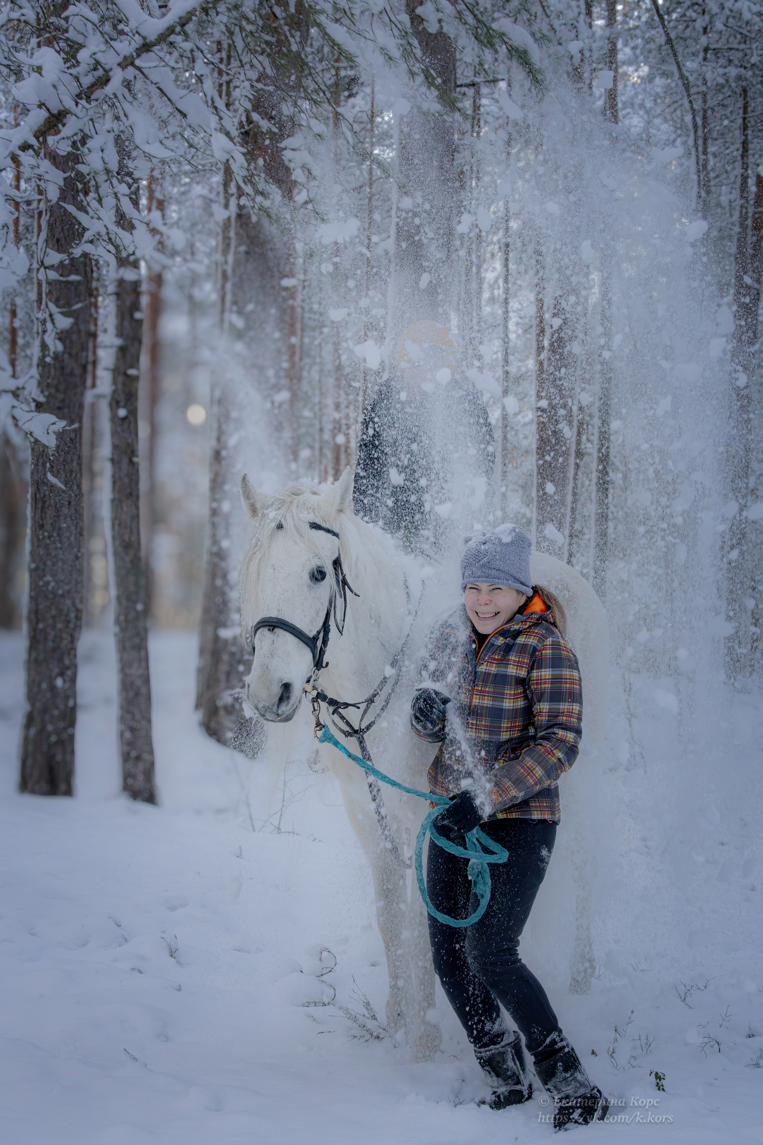 Лошади и люди. Главная
