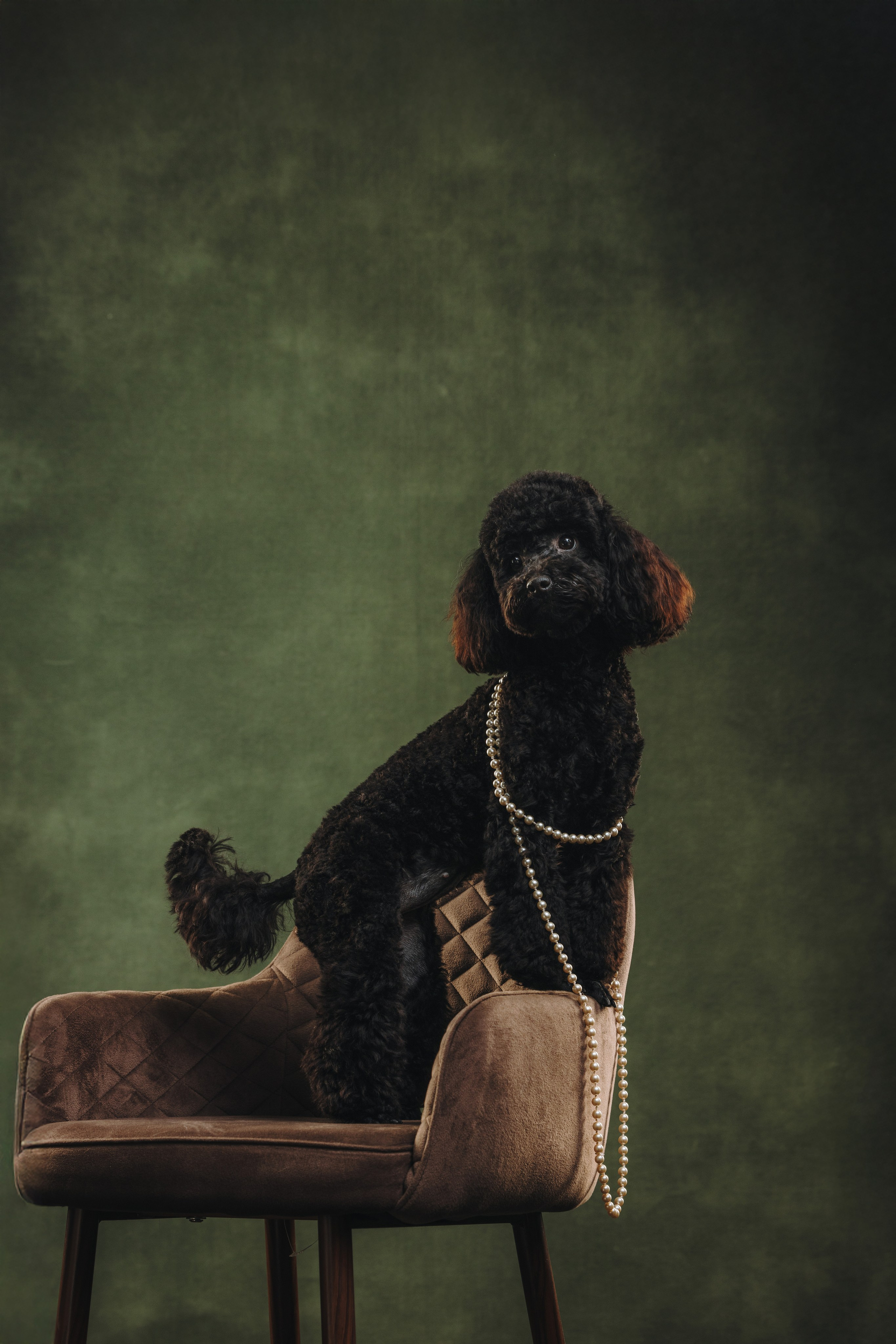 Ярослава и Туча. Фотограф анималист Осипчикова Мария